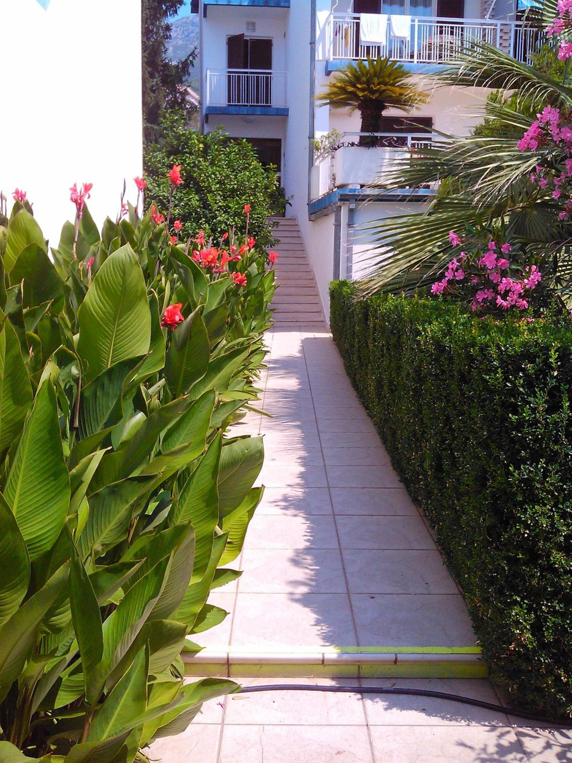 Apartments Becici