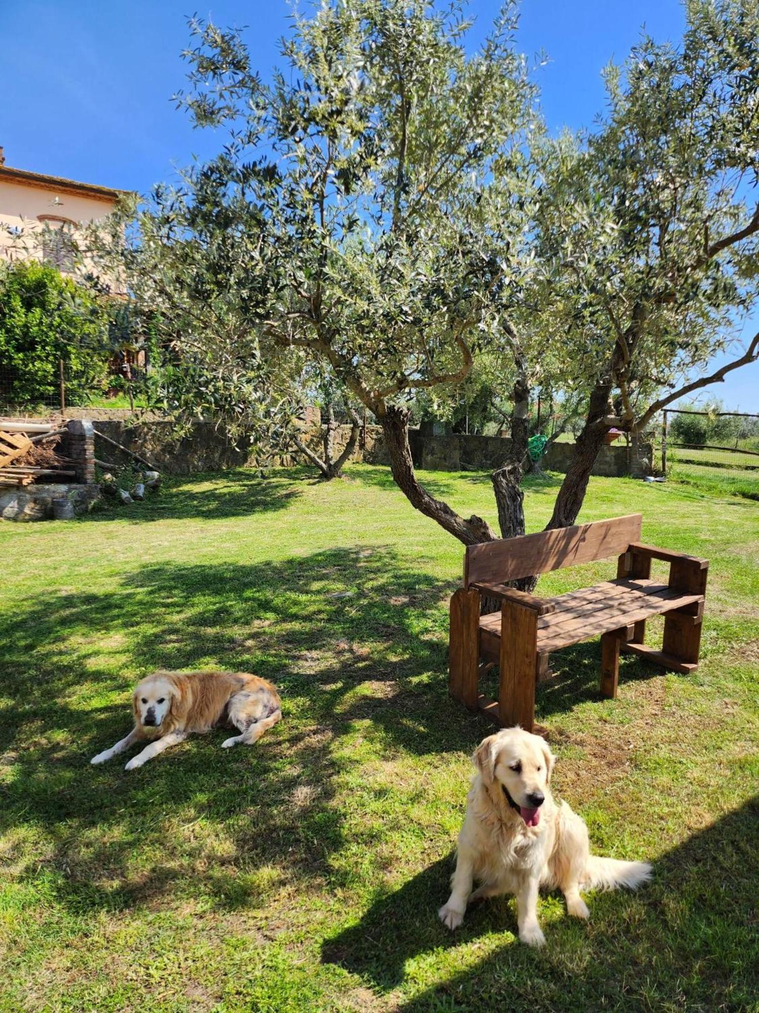 Podere Il Polveroso photo 4