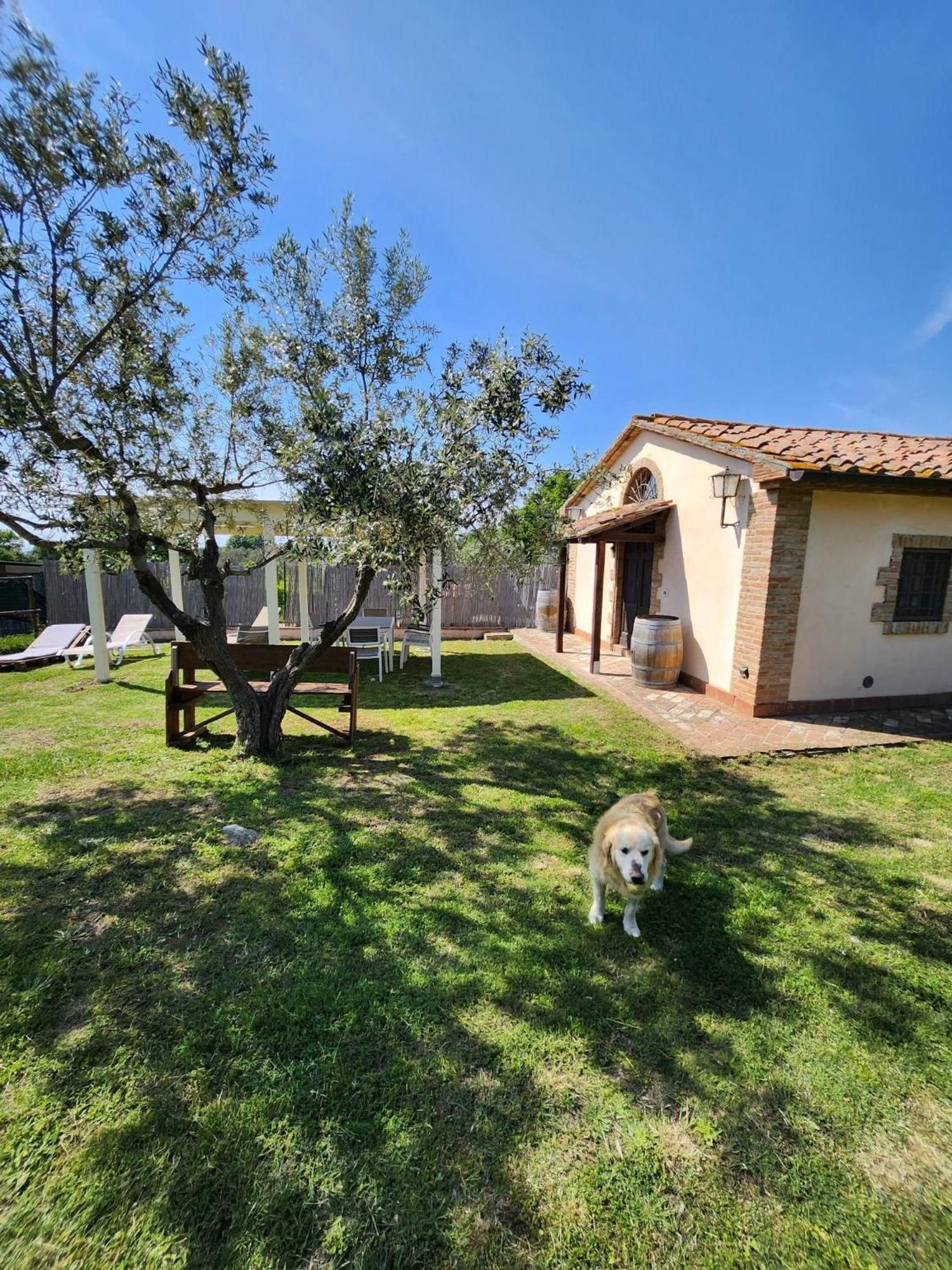 Podere Il Polveroso photo 3