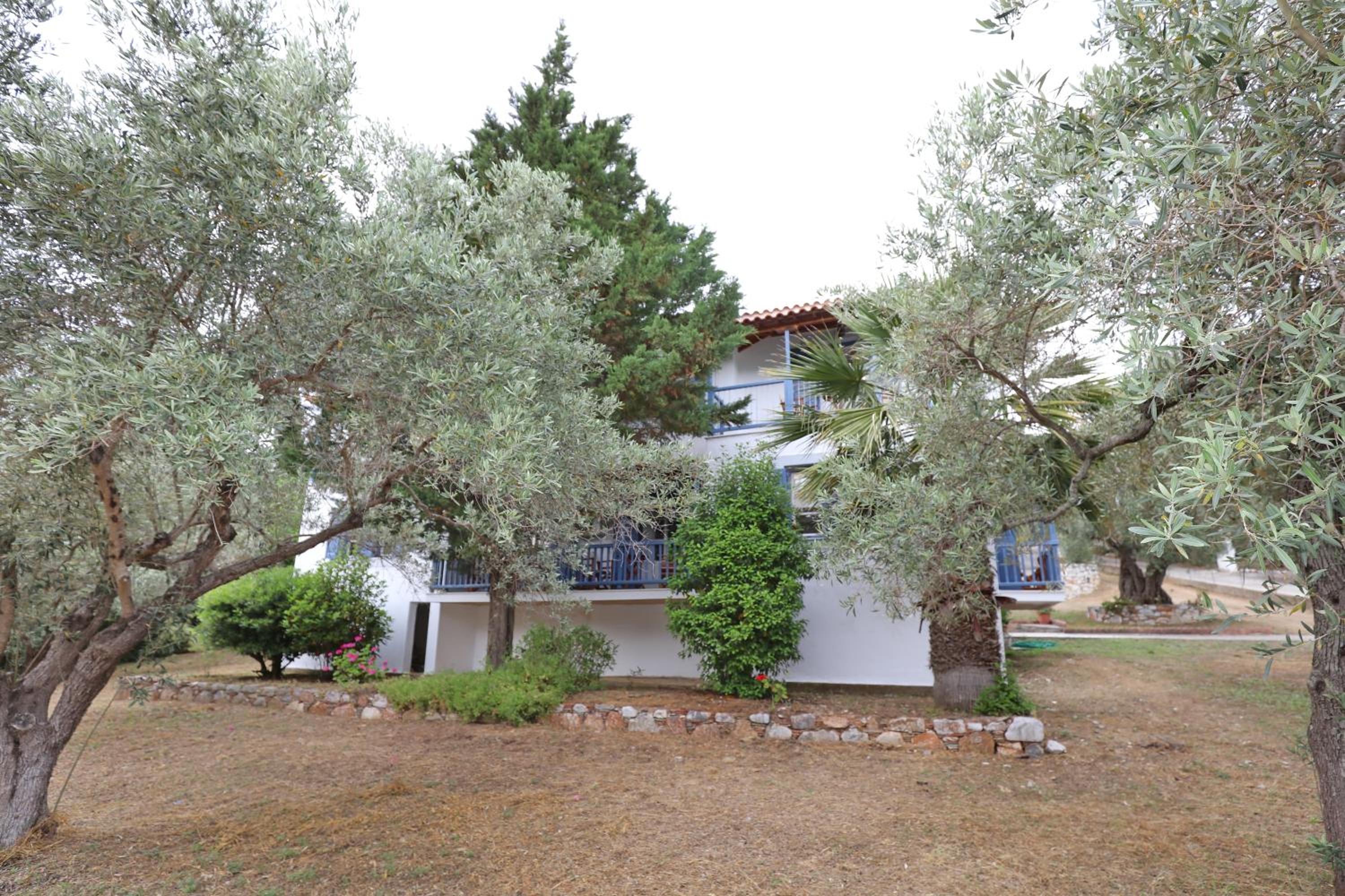 Skopelos Panos Studios