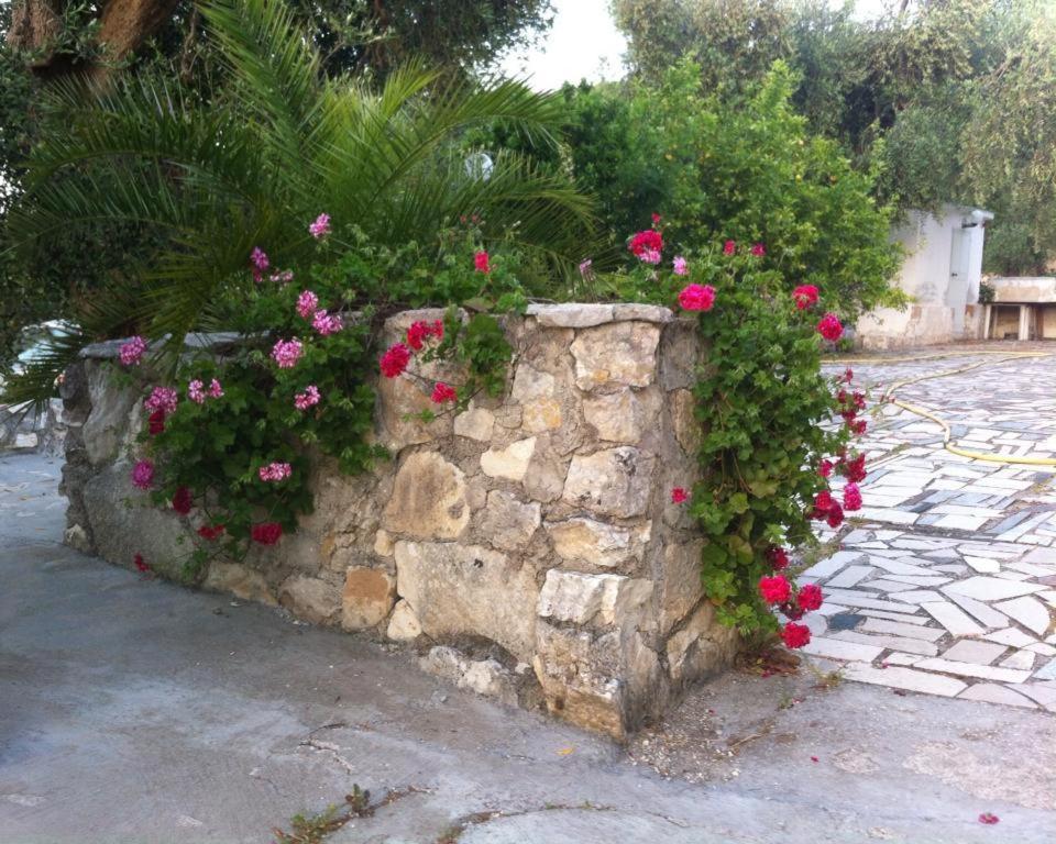 Photo 24