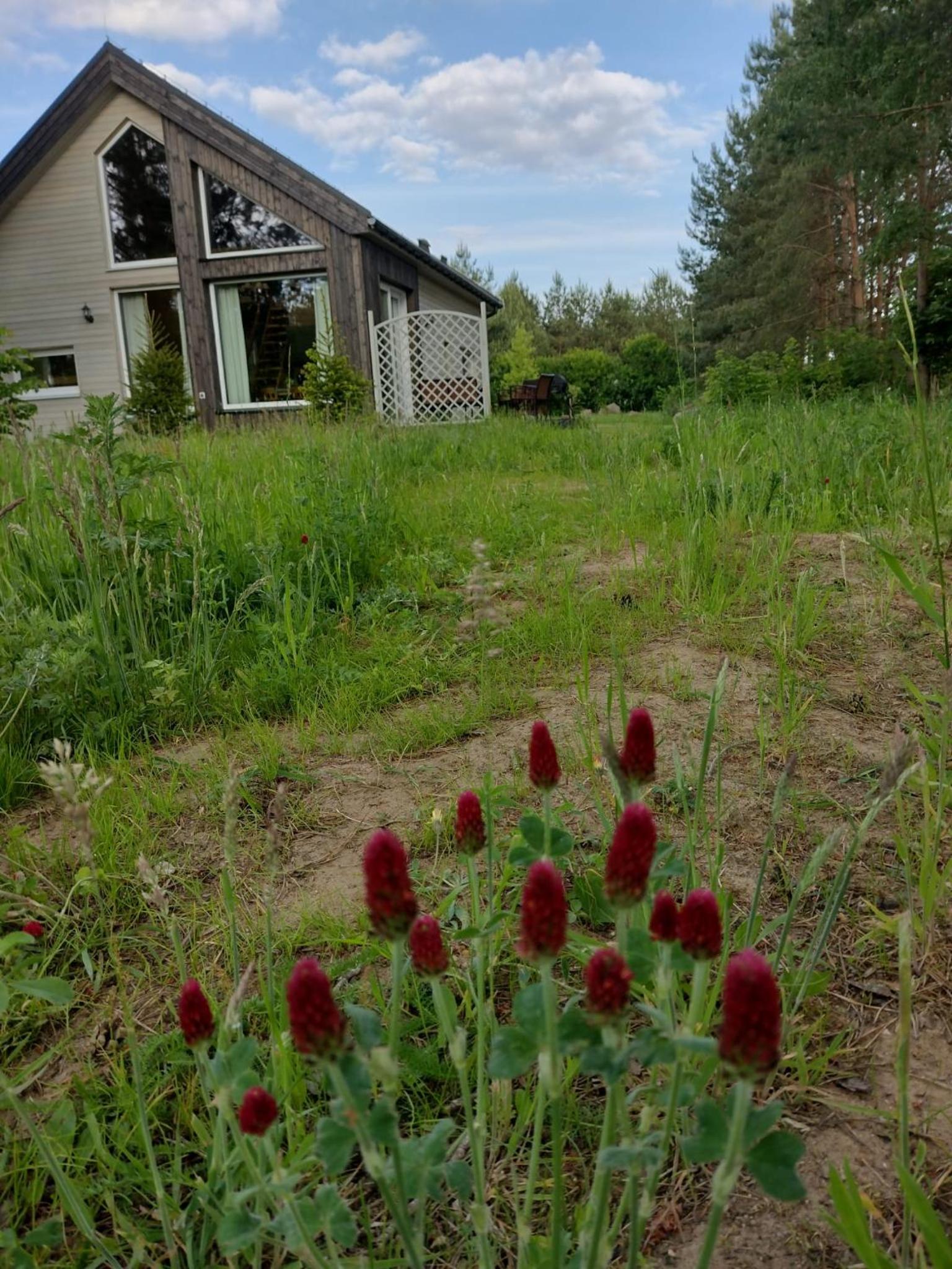 Photo 33