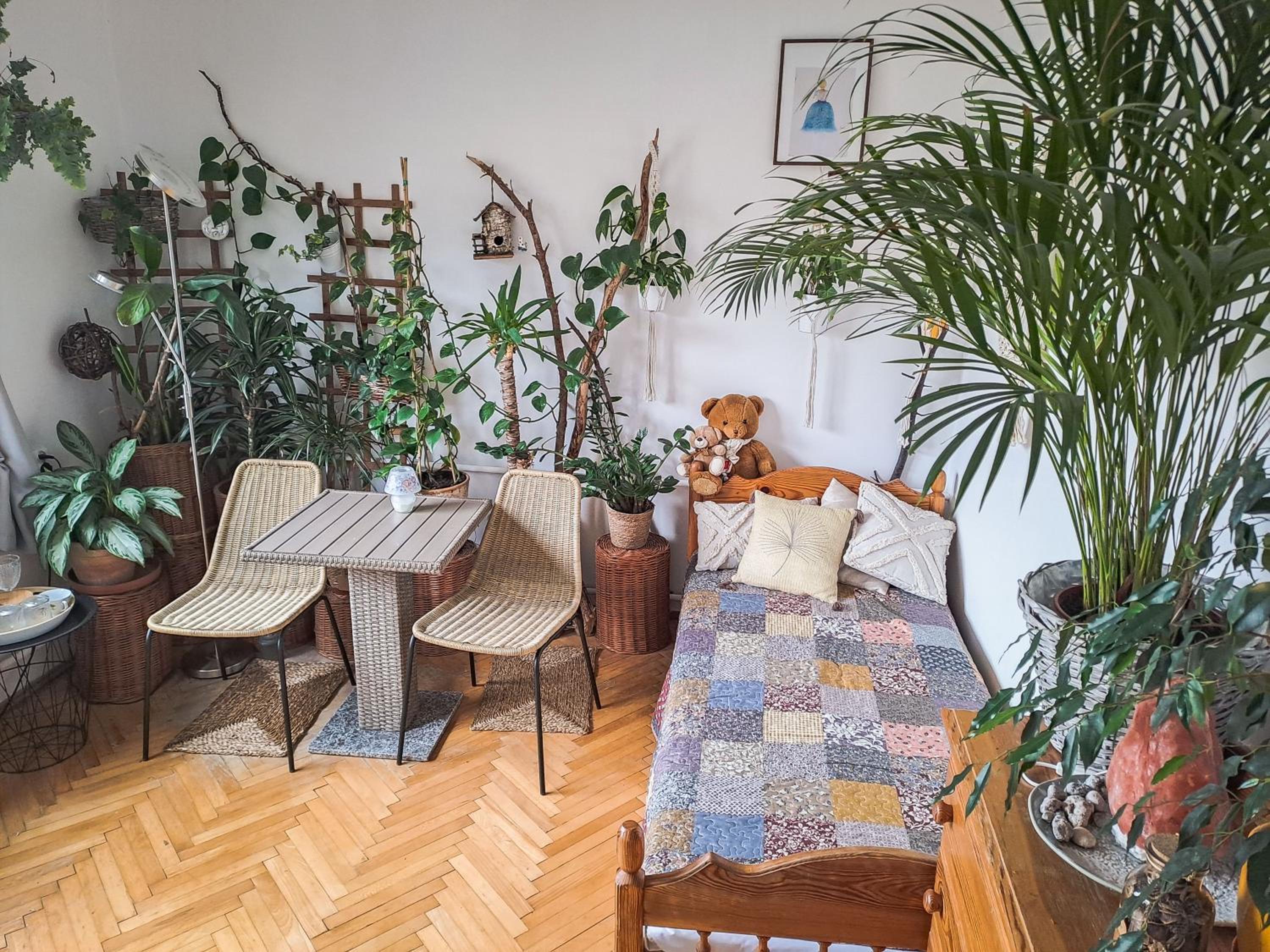 Instytut Zdrowia i Hortiterapii view 5