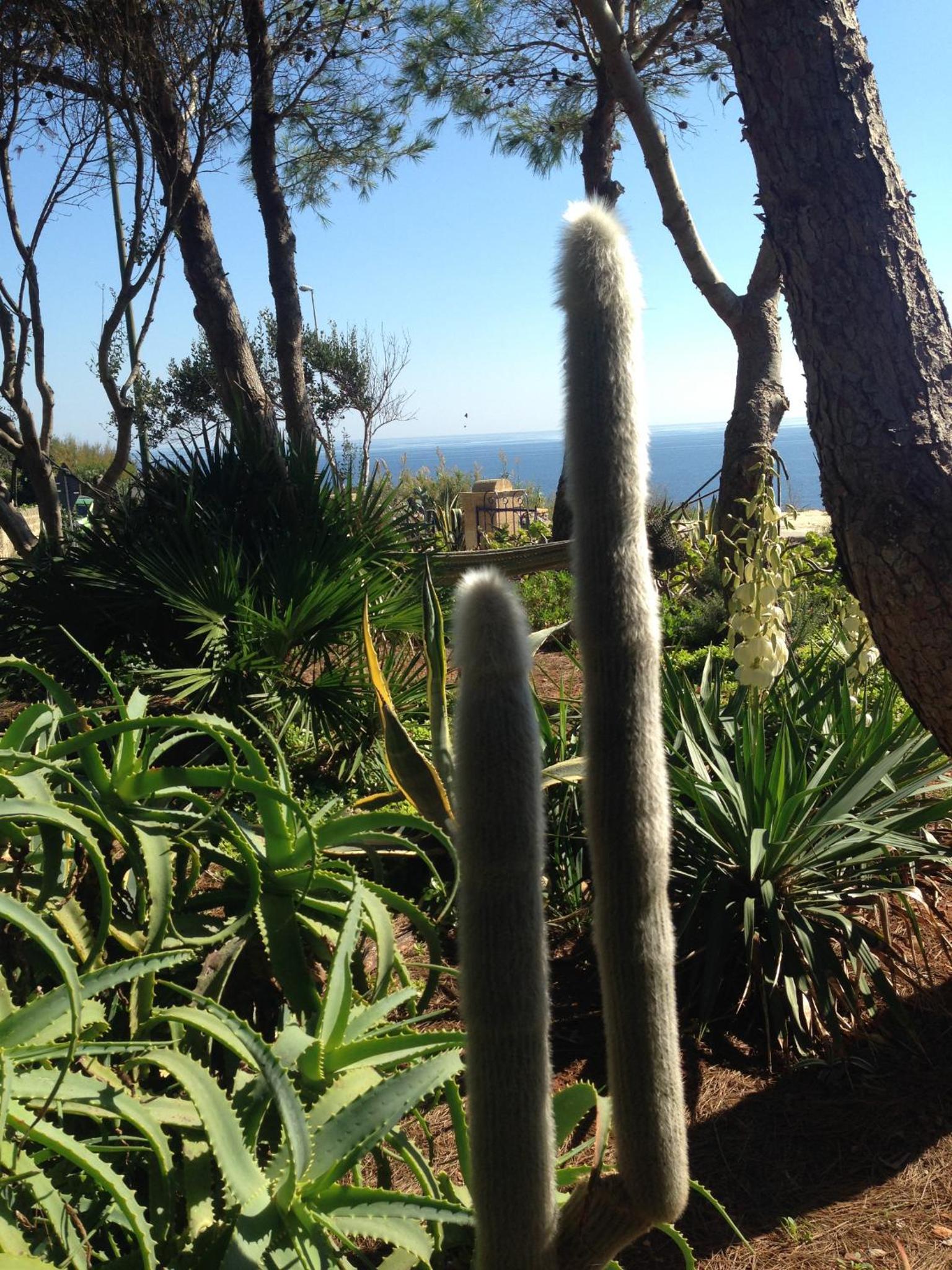 Villa Tina ai Piedi del Faro di Leuca photo 2