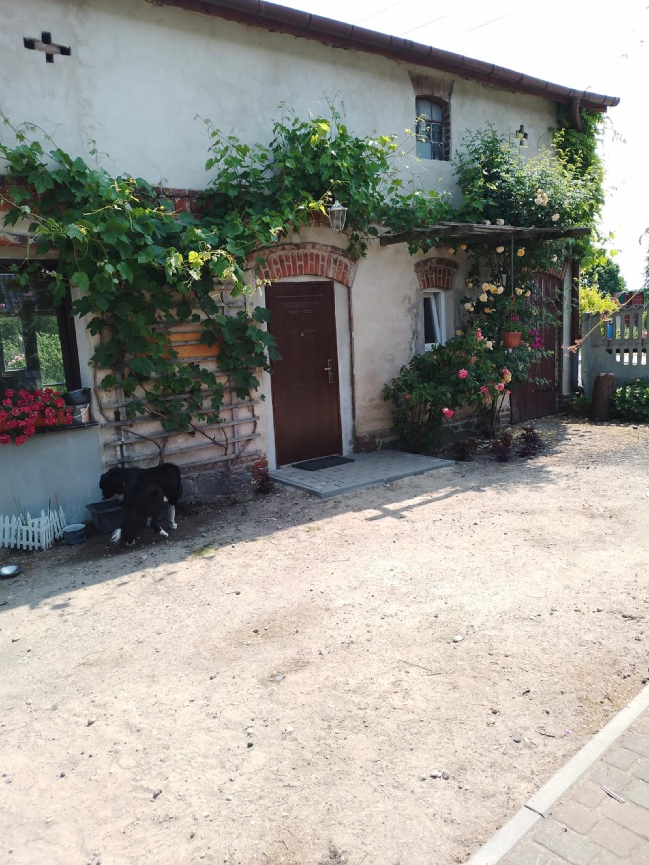 Photo 40