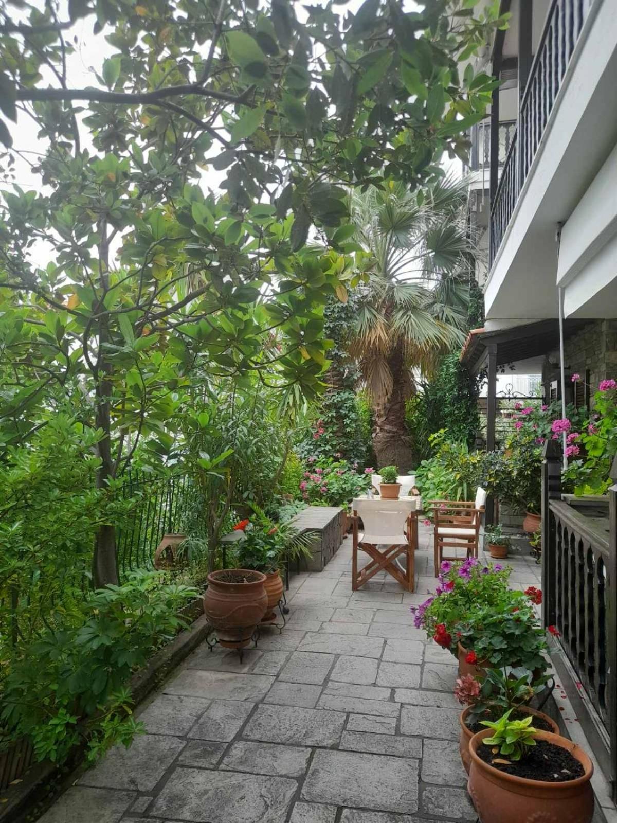 Papatzikos Traditional Guesthouse