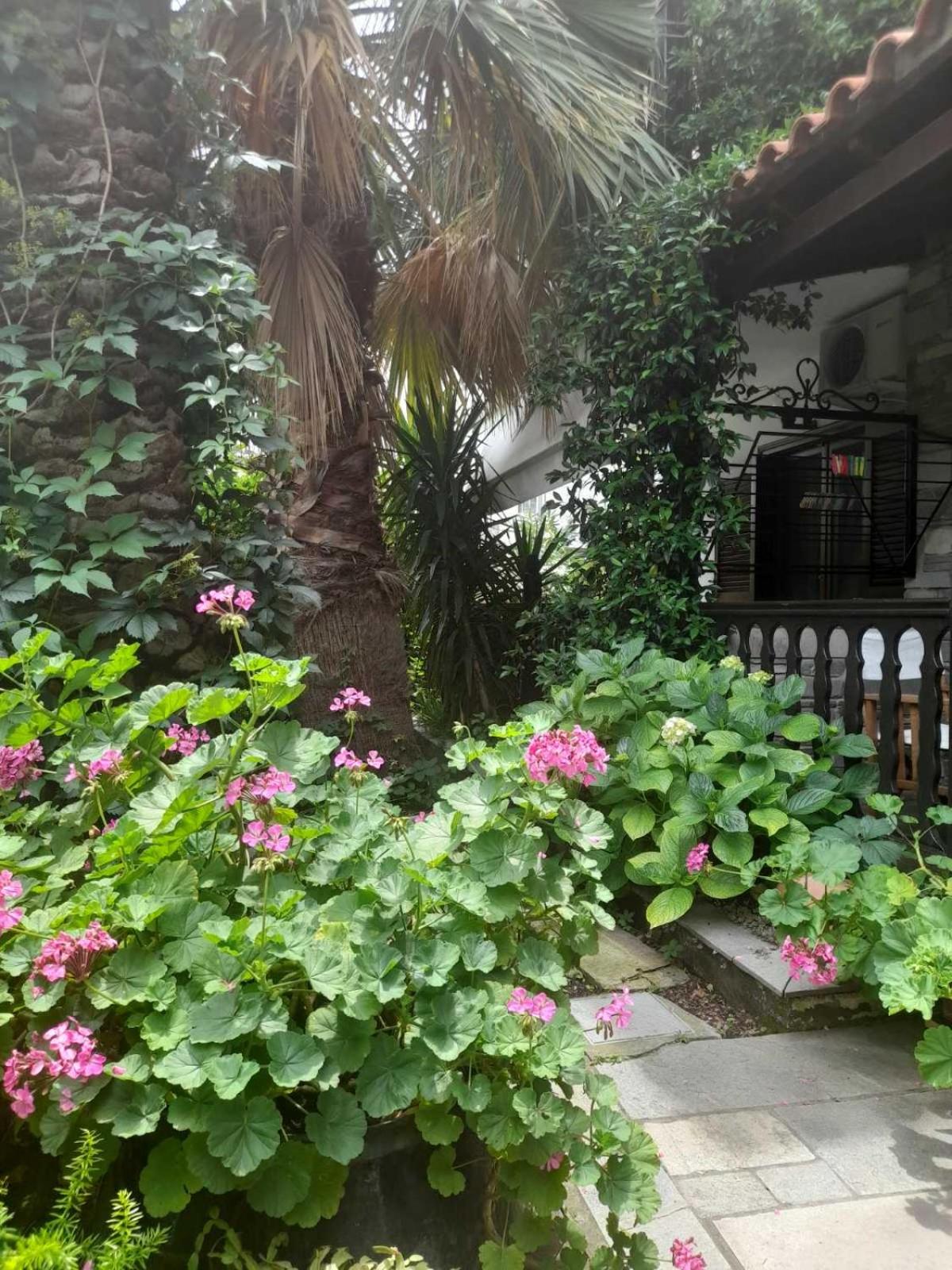 Papatzikos Traditional Guesthouse