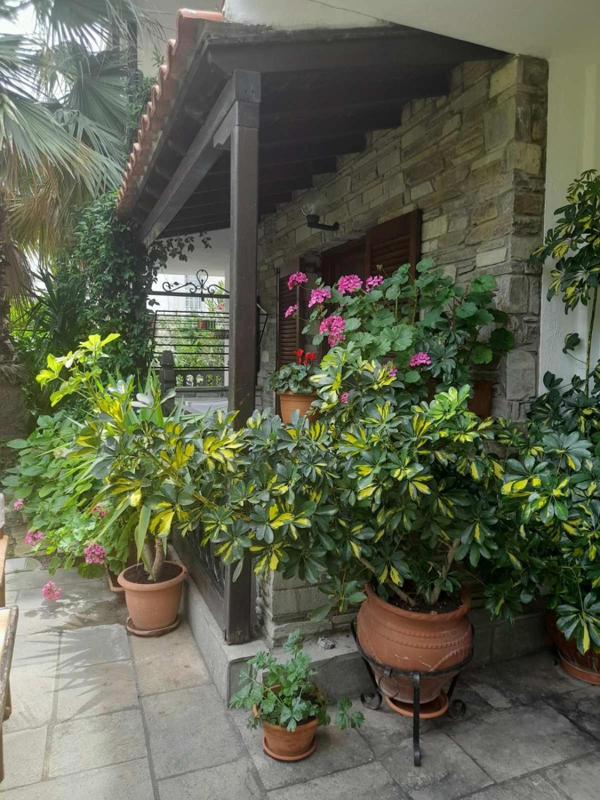 Papatzikos Traditional Guesthouse