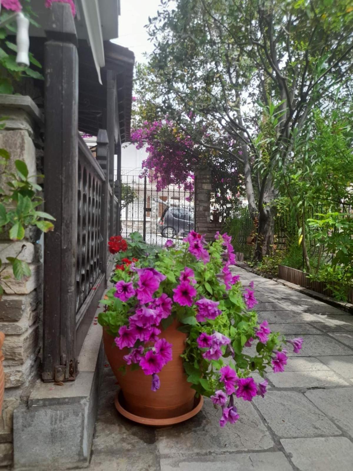 Papatzikos Traditional Guesthouse