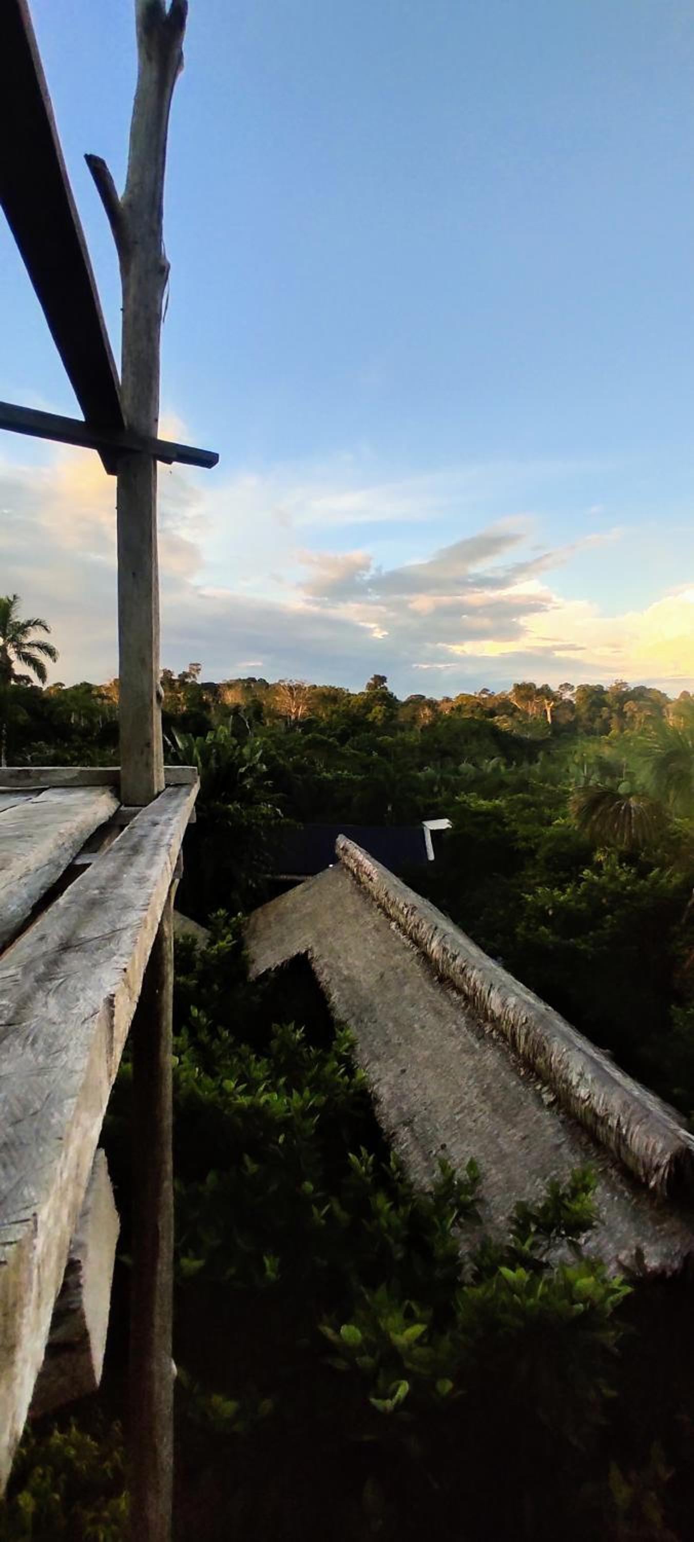 rooftop