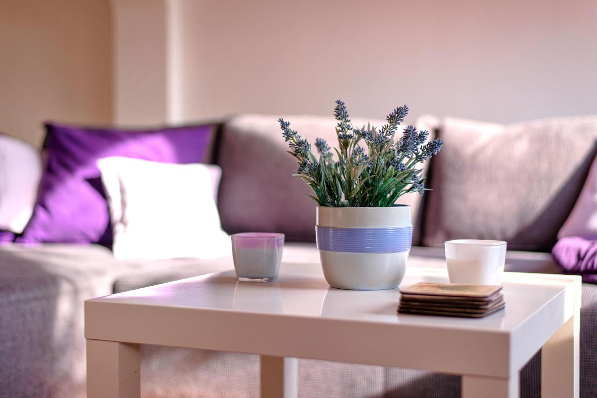 Apartment Duda