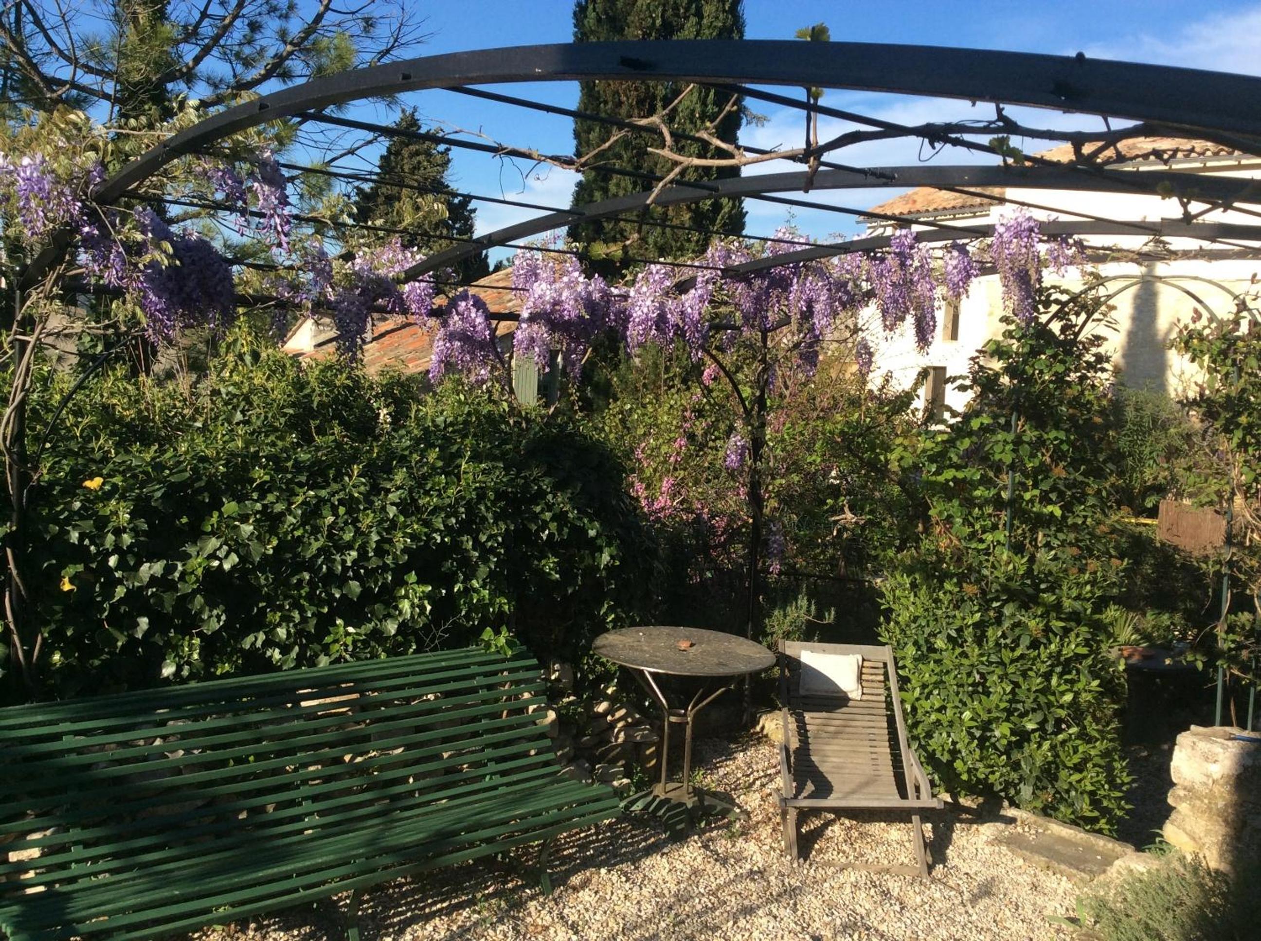 Photo 7