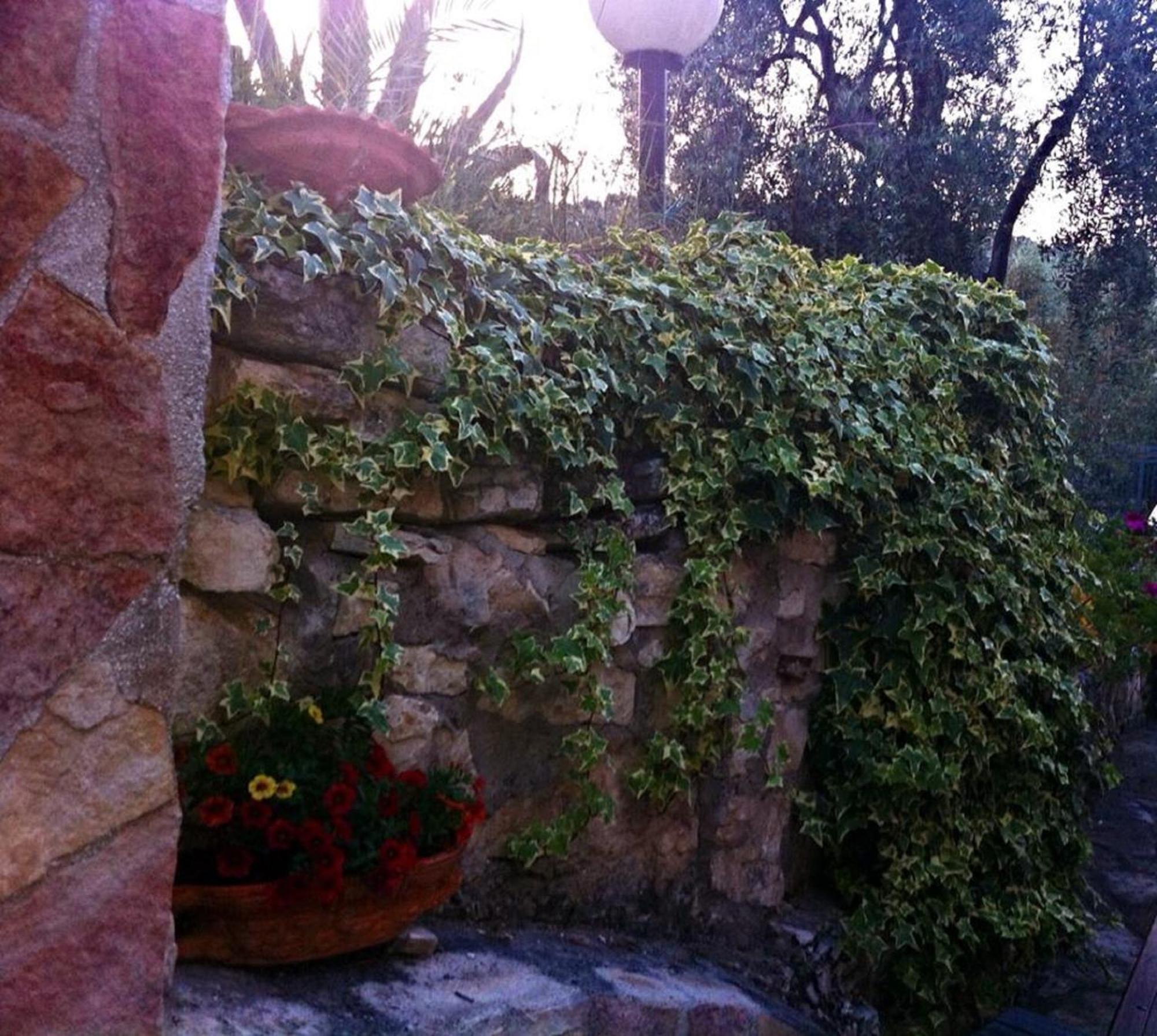 Photo 25