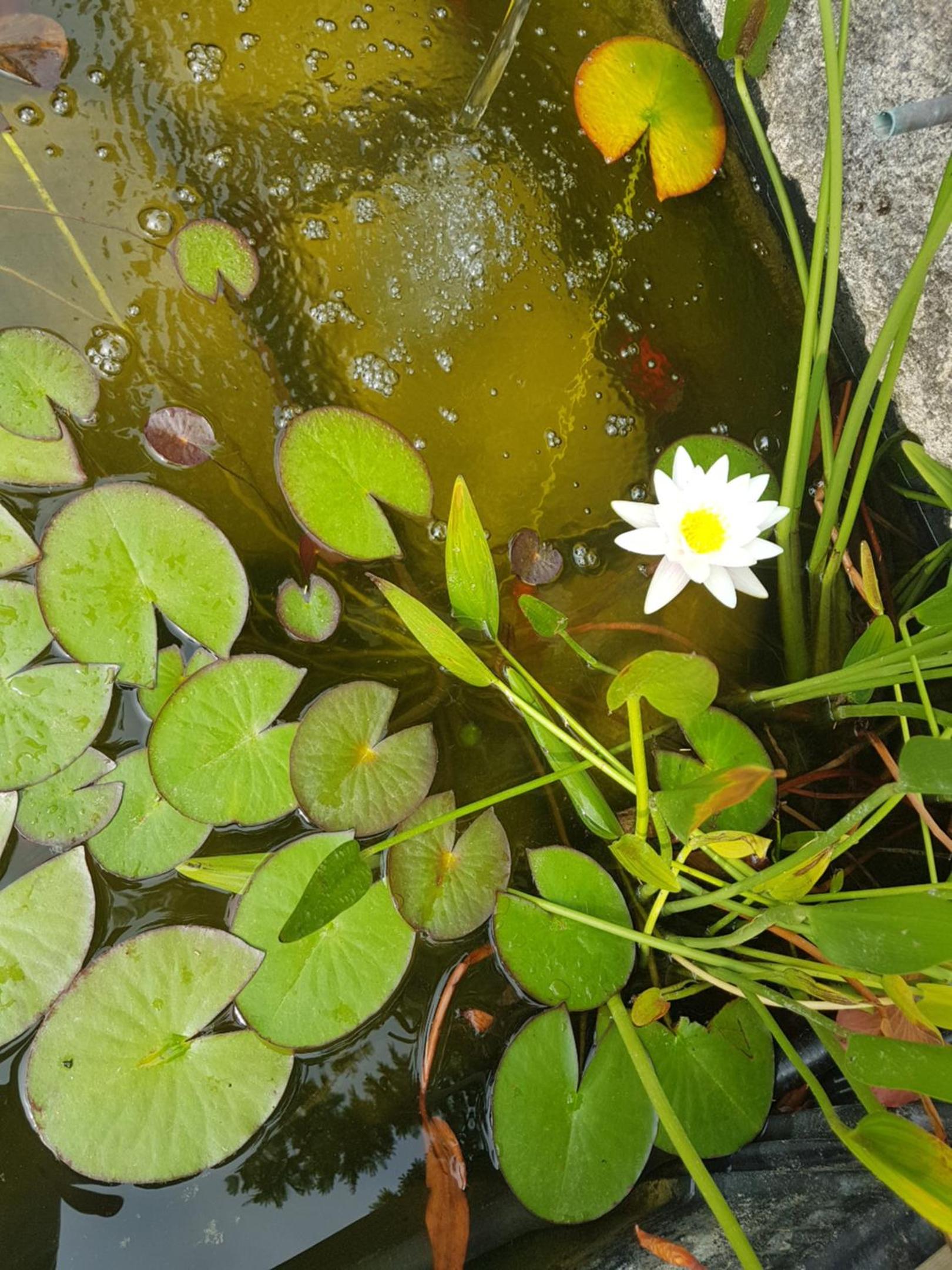 B&B La Terre Brûlée