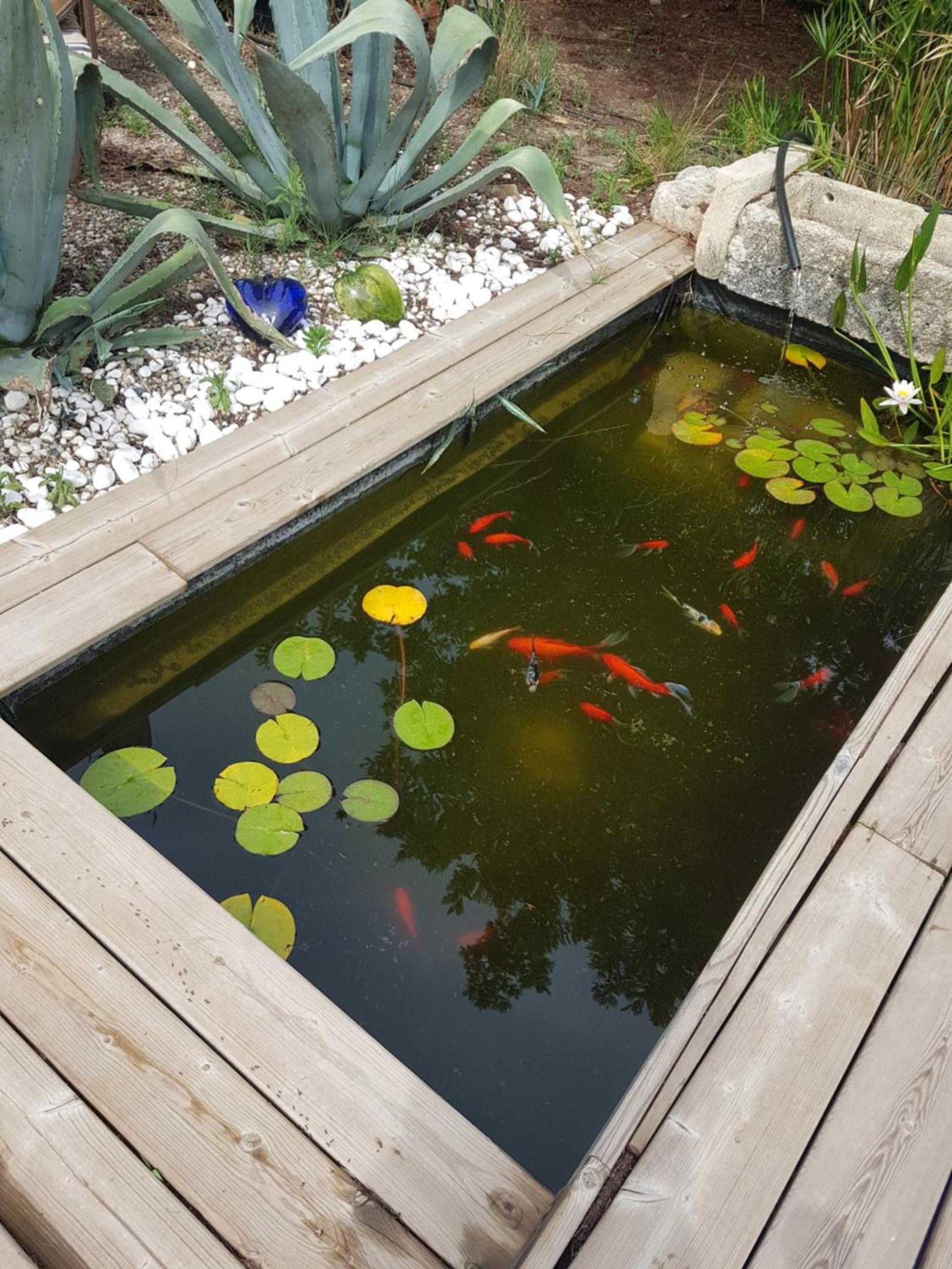 B&B La Terre Brûlée