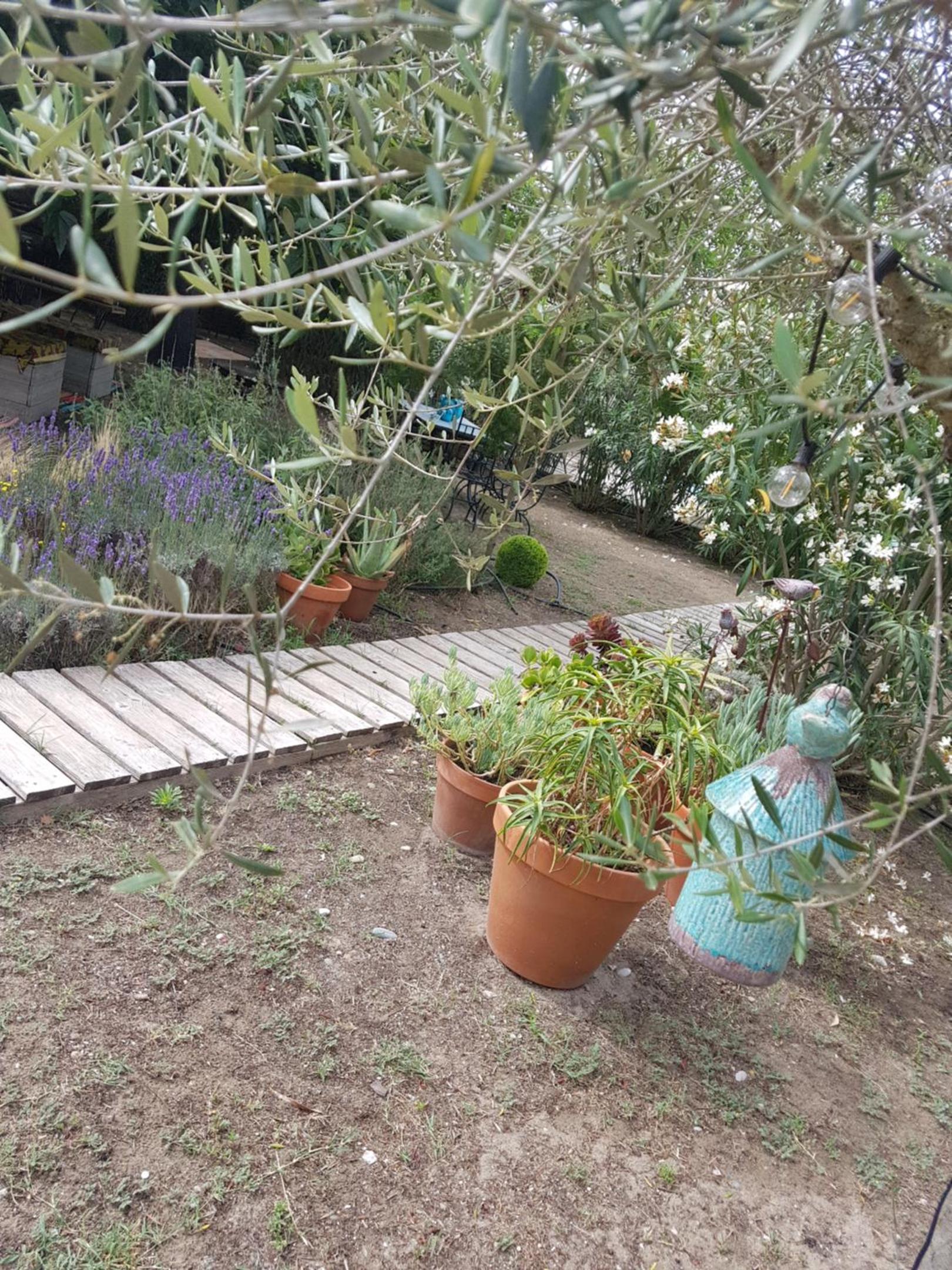 B&B La Terre Brûlée