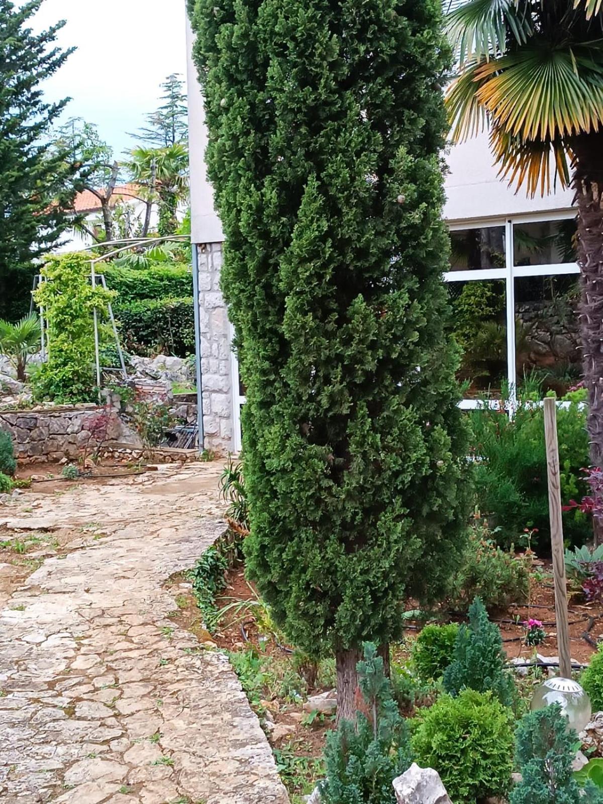Apartment Sun Garden Malinska