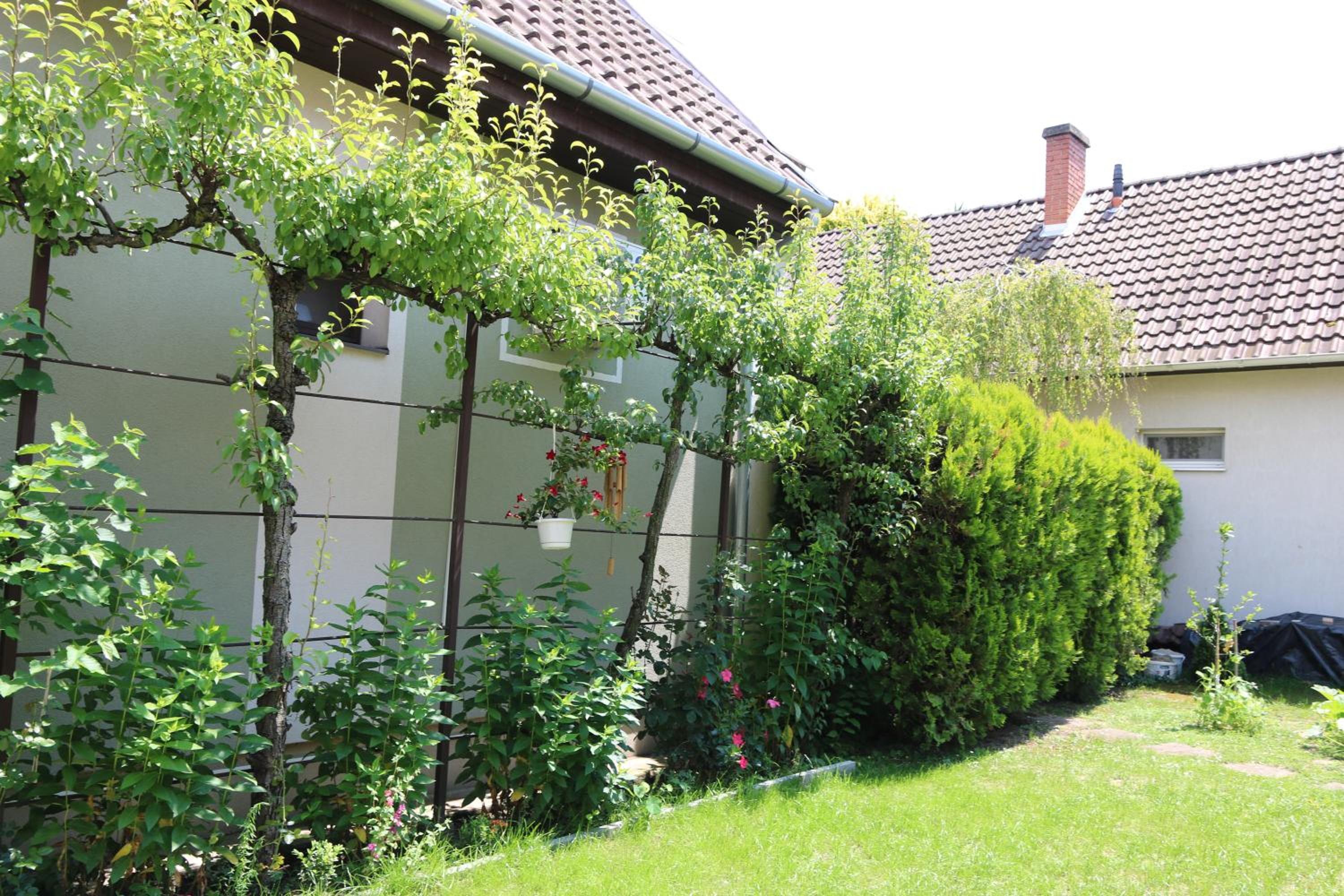 Orosz Apartmanház Gyula view 2