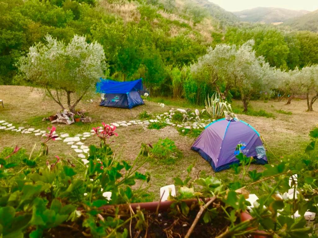 Tenuta del Casale del Jazz - Jazz Emotional Experience - Rooms & Camping in the Countryside view 5