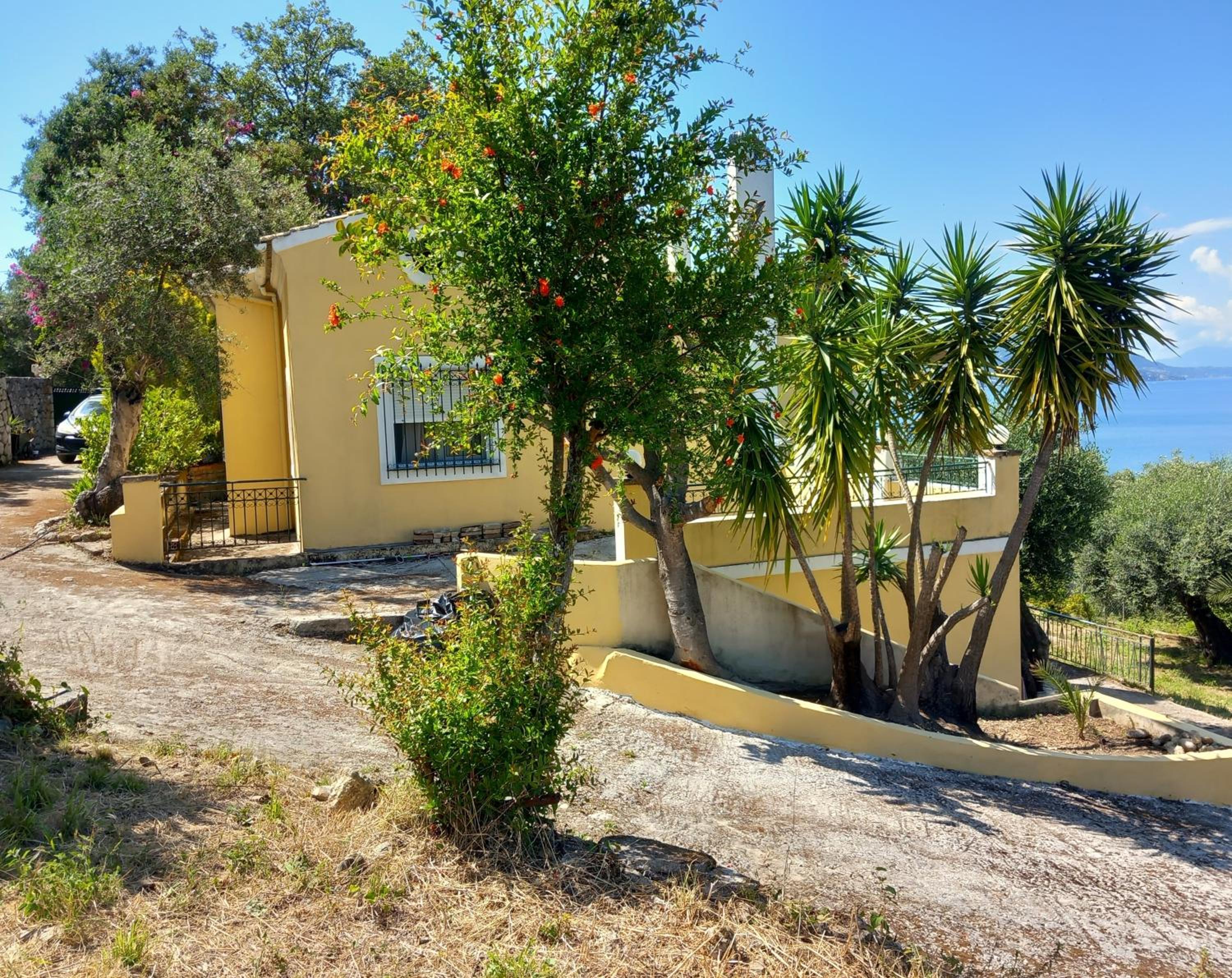 Olea Home