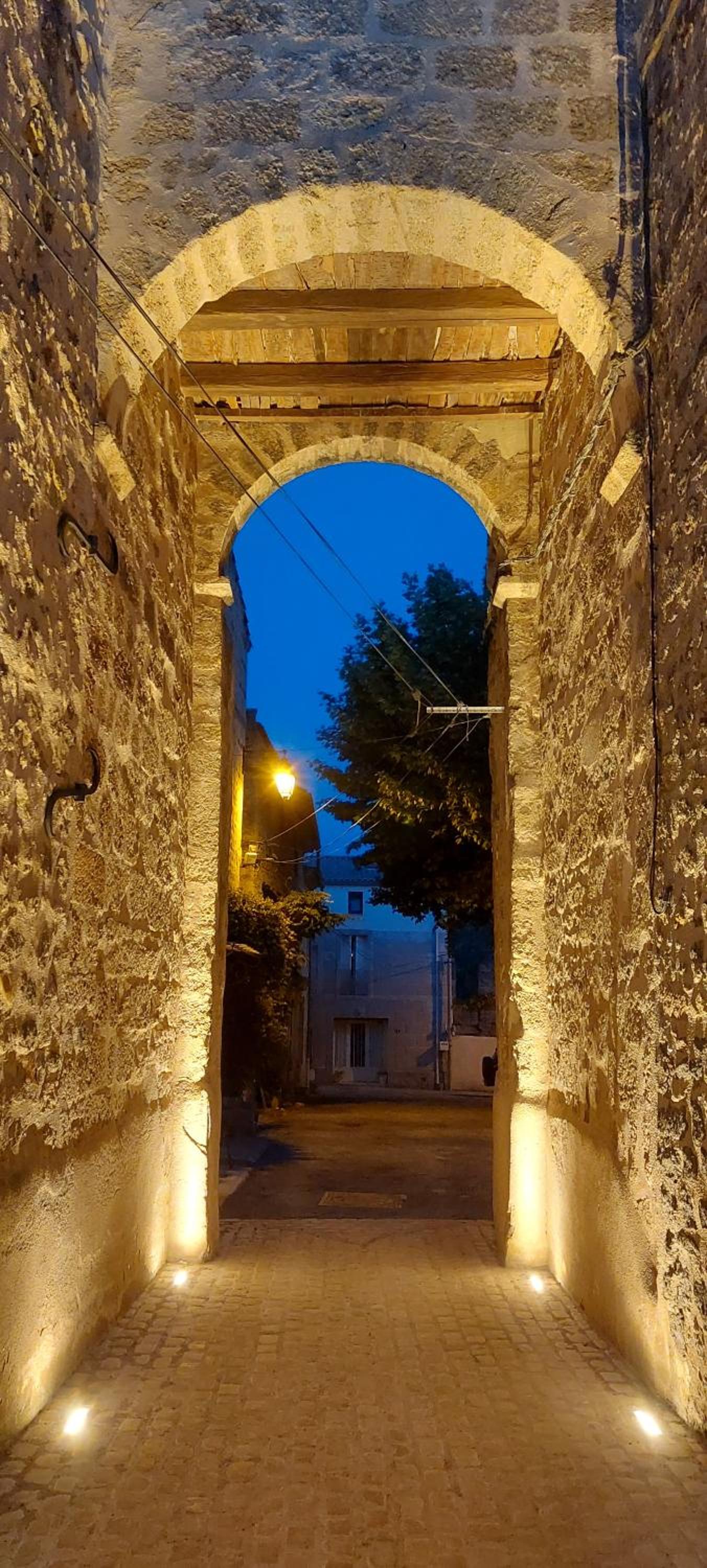 Photo 51