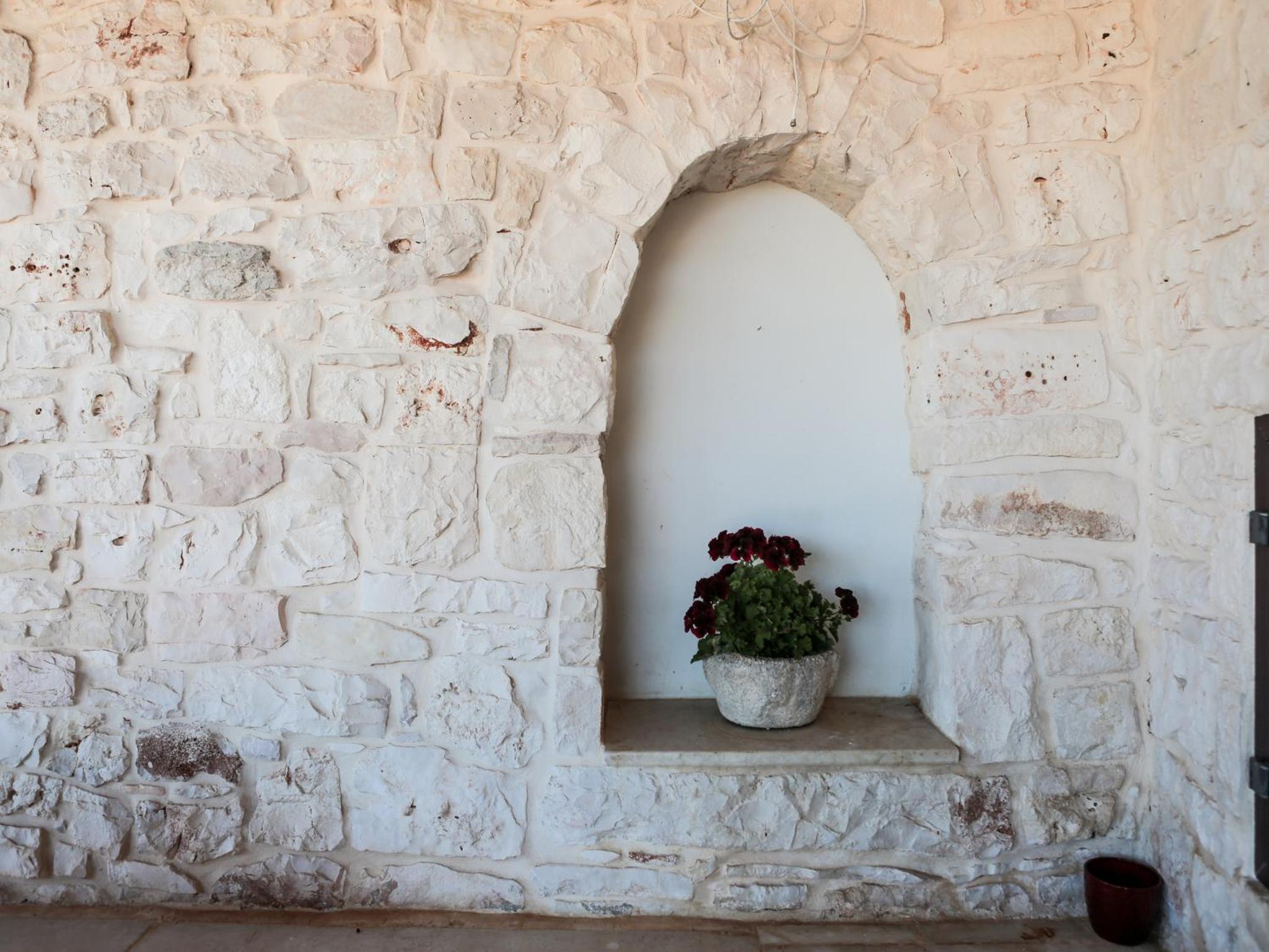 B&B La Collina Degli Ulivi