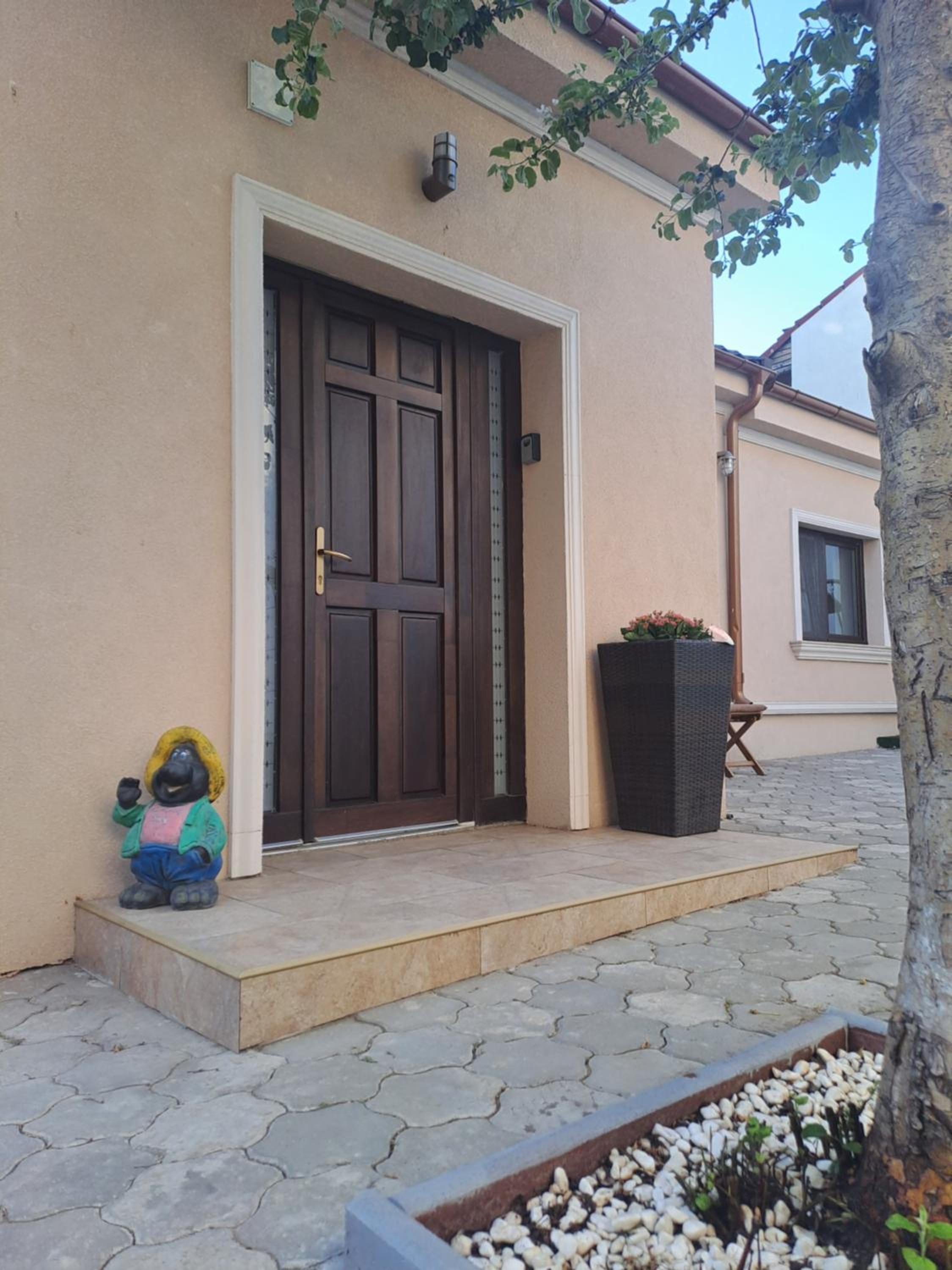 Steli's House