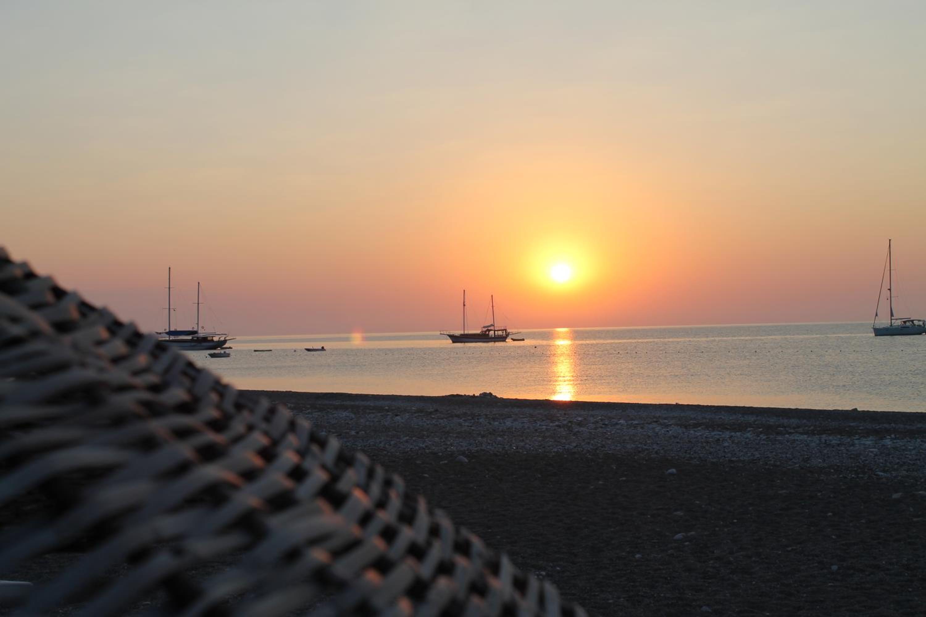 Flora Pansiyon Çıralı - Image 72