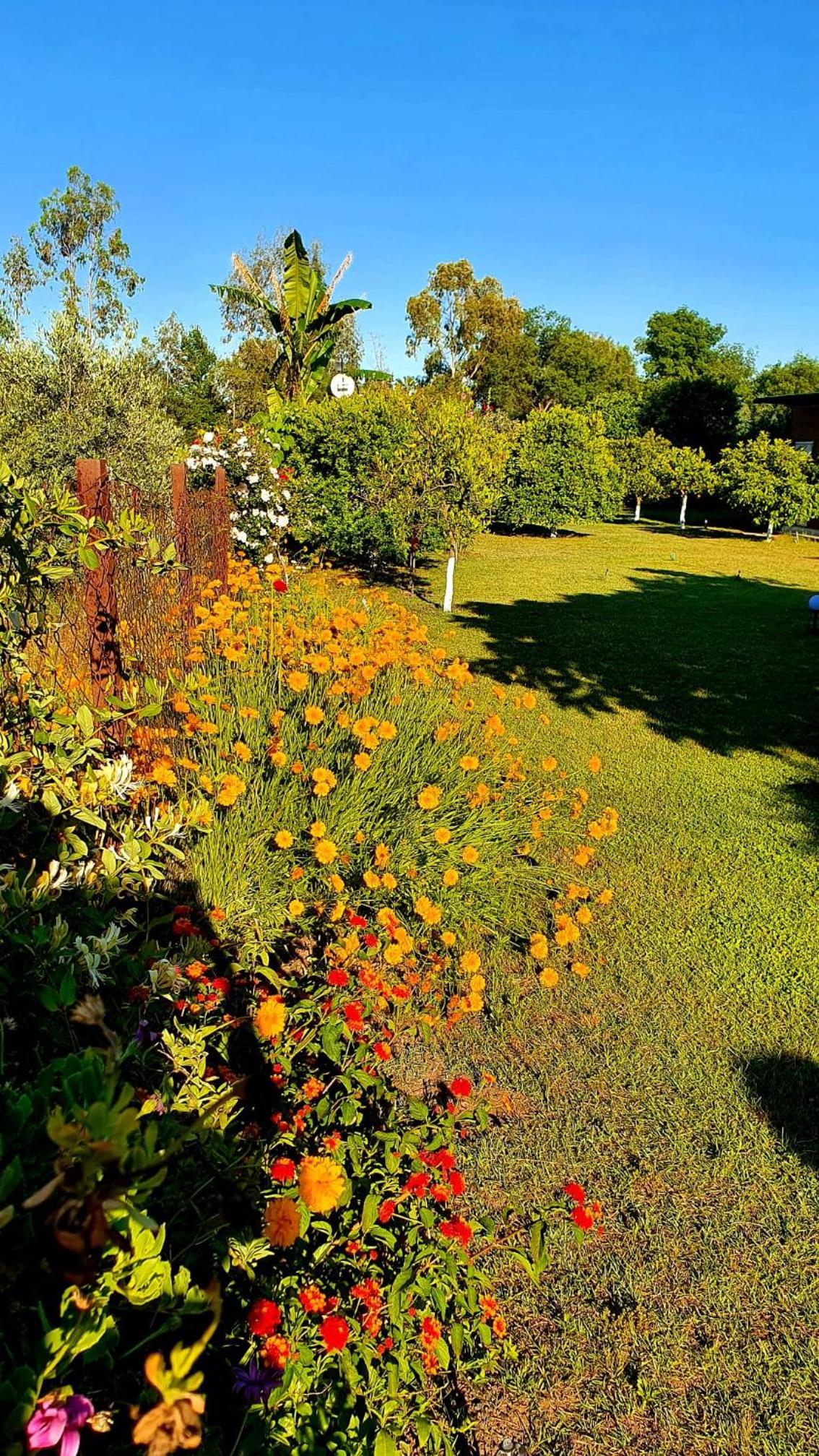 Flora Pansiyon Çıralı - Image 45