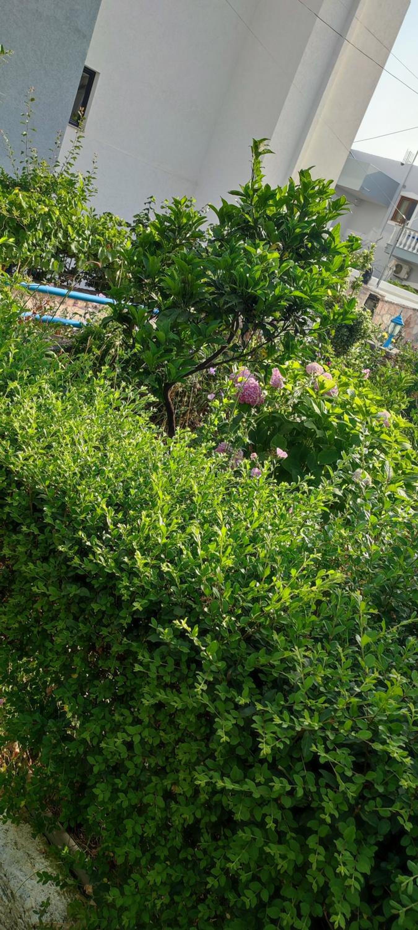 Dervishaj Apartments