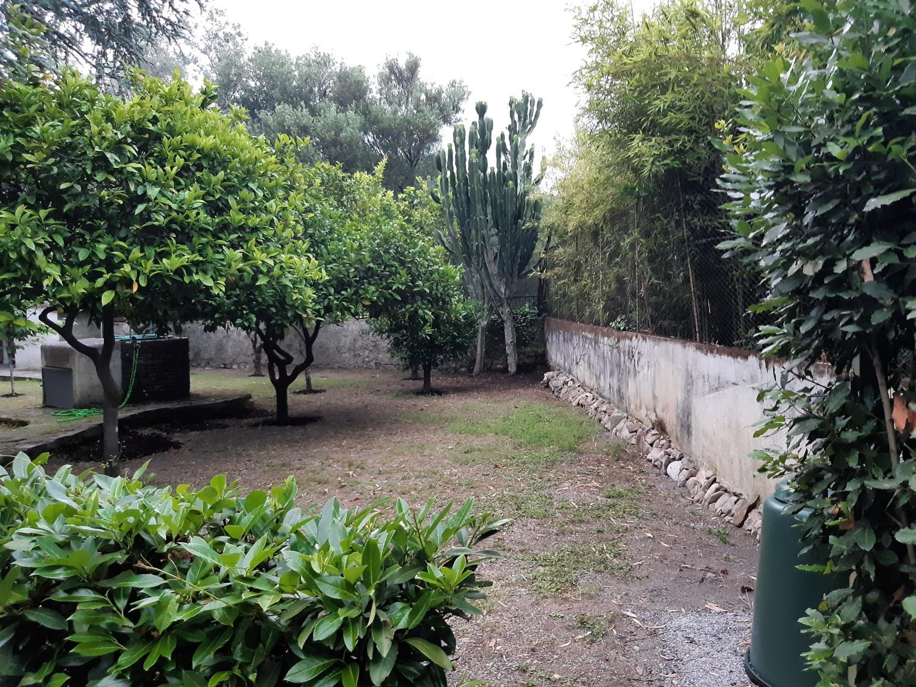 Photo 25