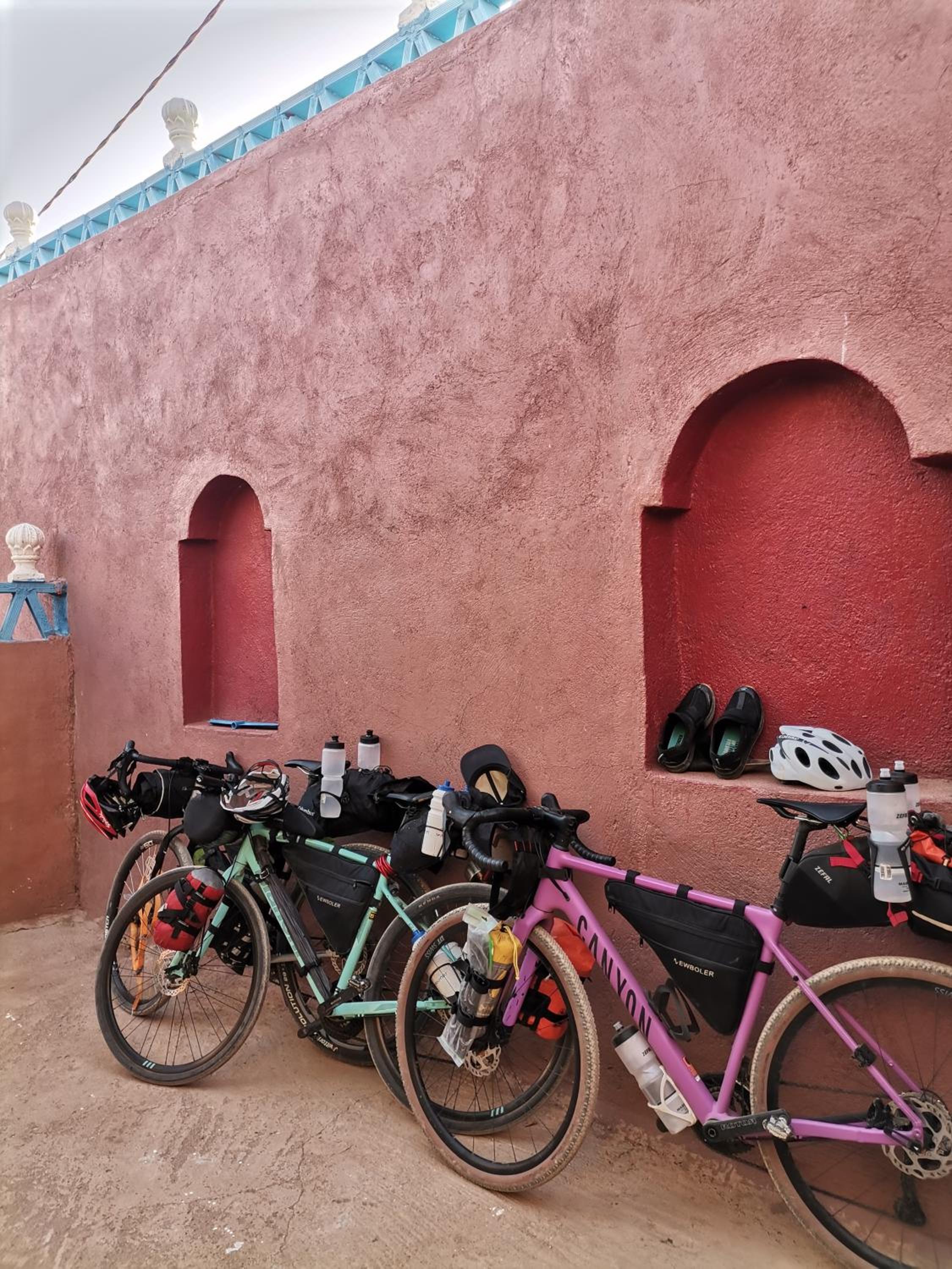 Riad Dades Birds