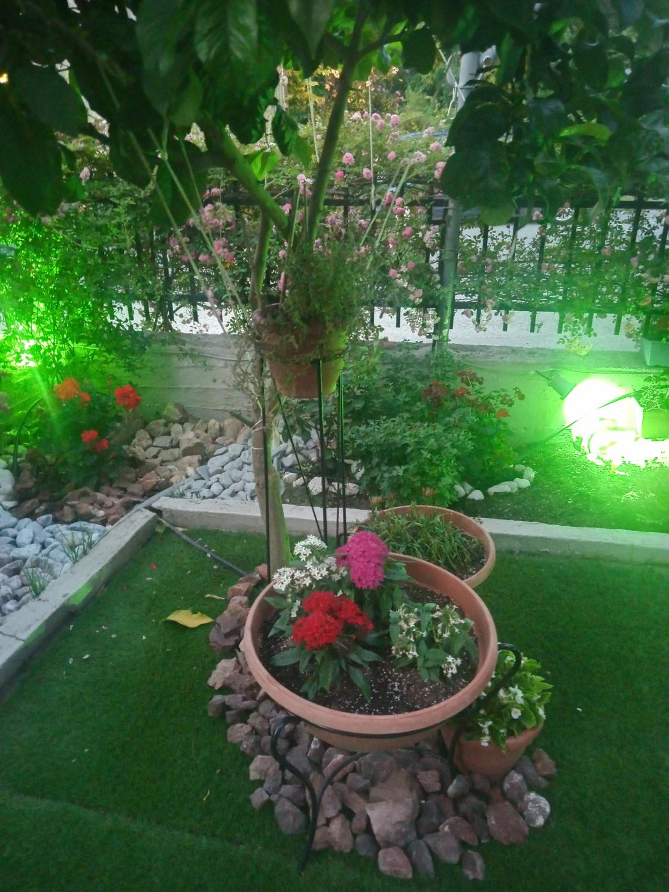 Photo 25