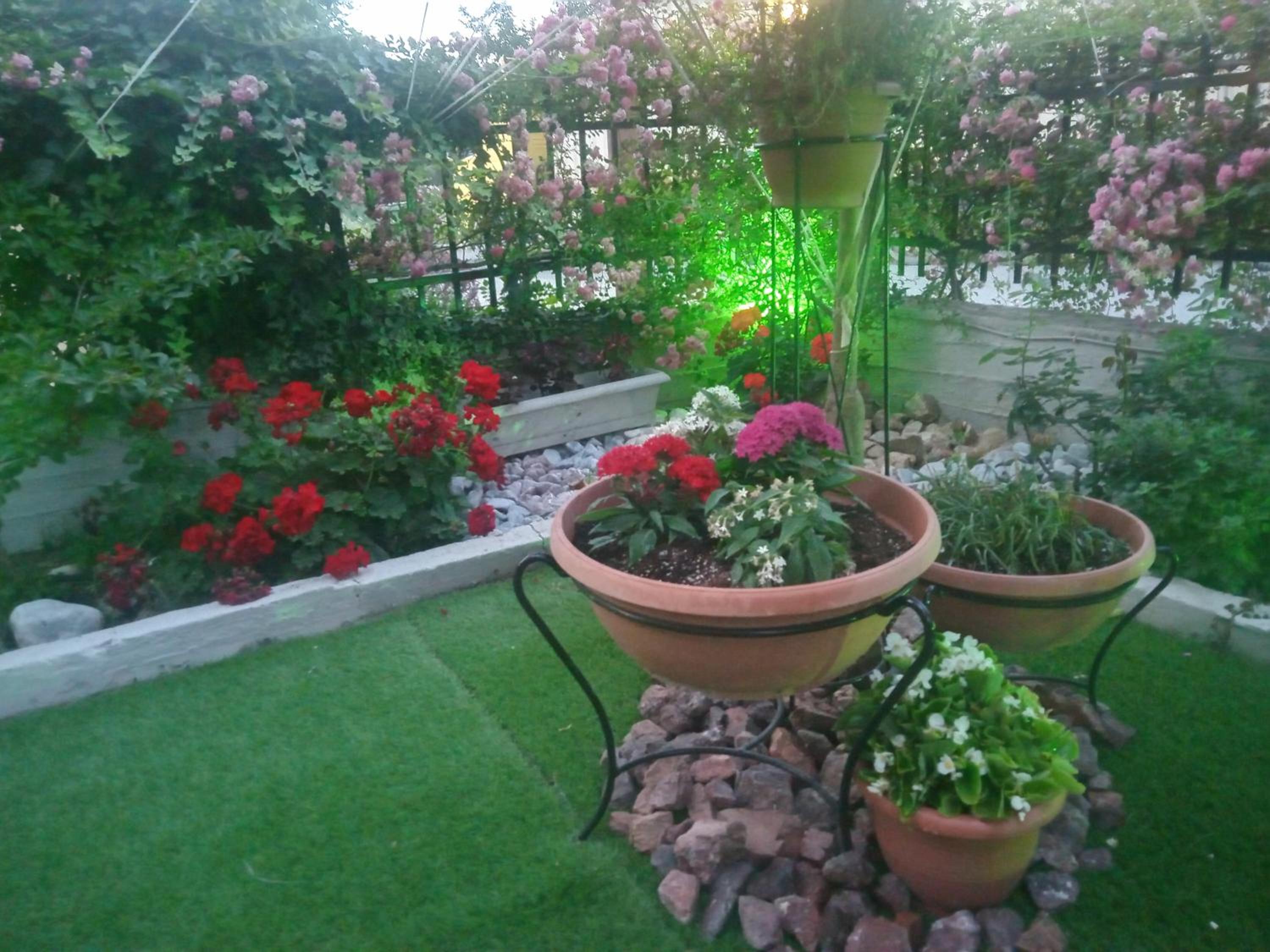 Photo 43