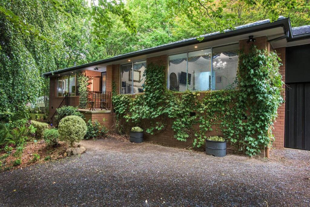 The Beeches Olinda Accommodation