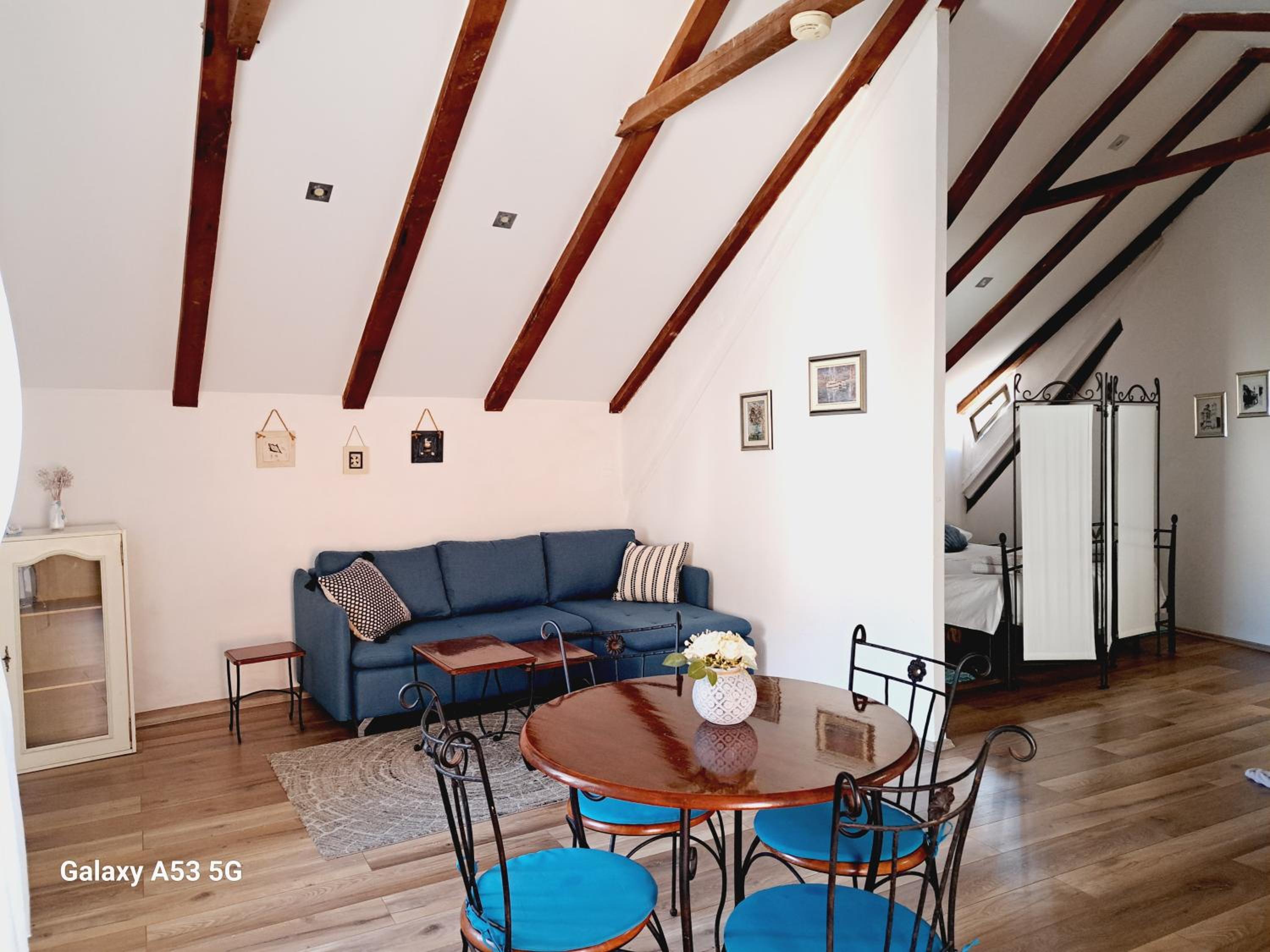 Studio apartman u renesansnoj vili