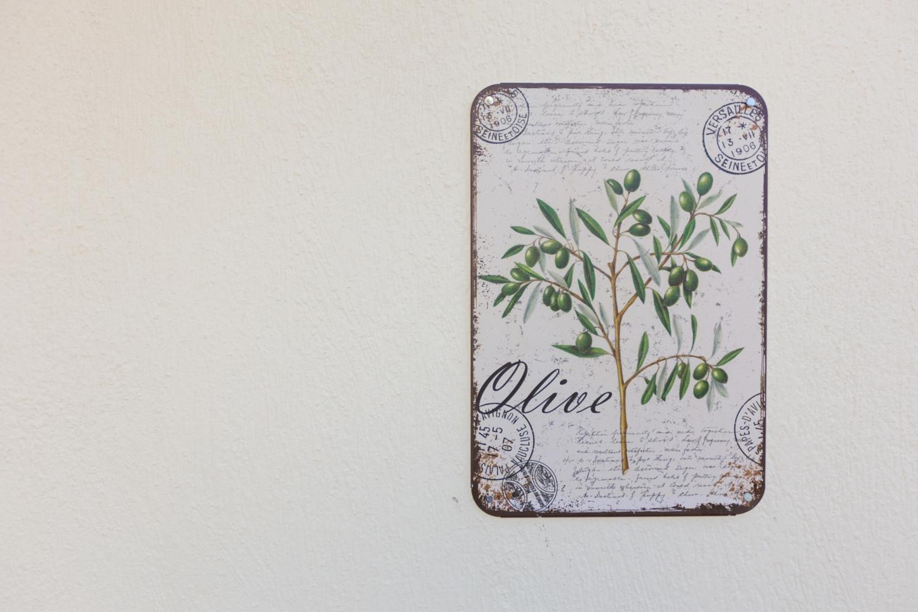 Olive Apartments