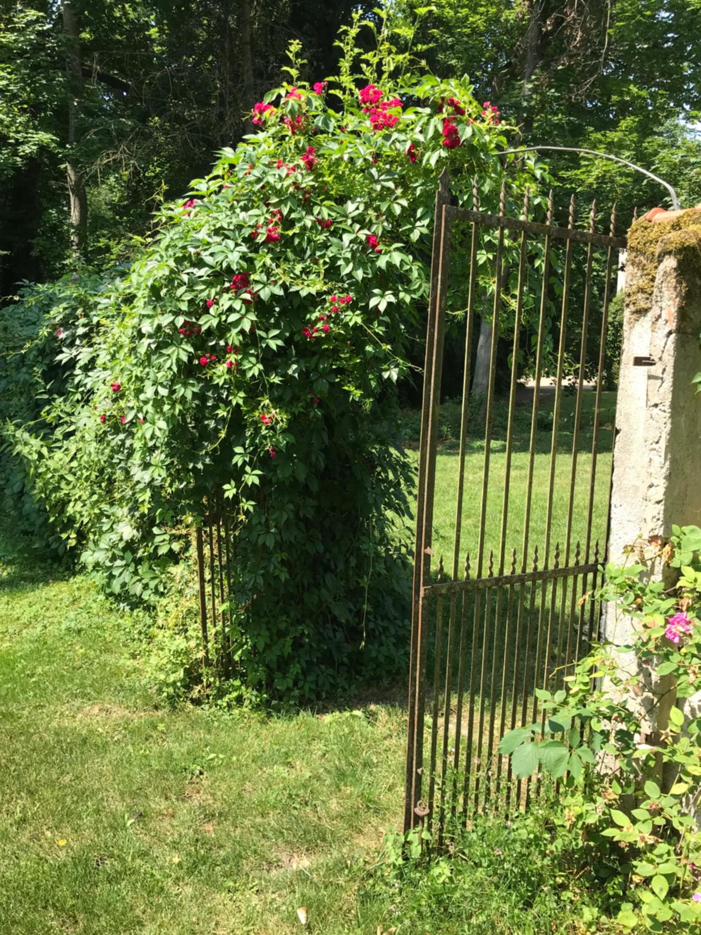 Photo 14