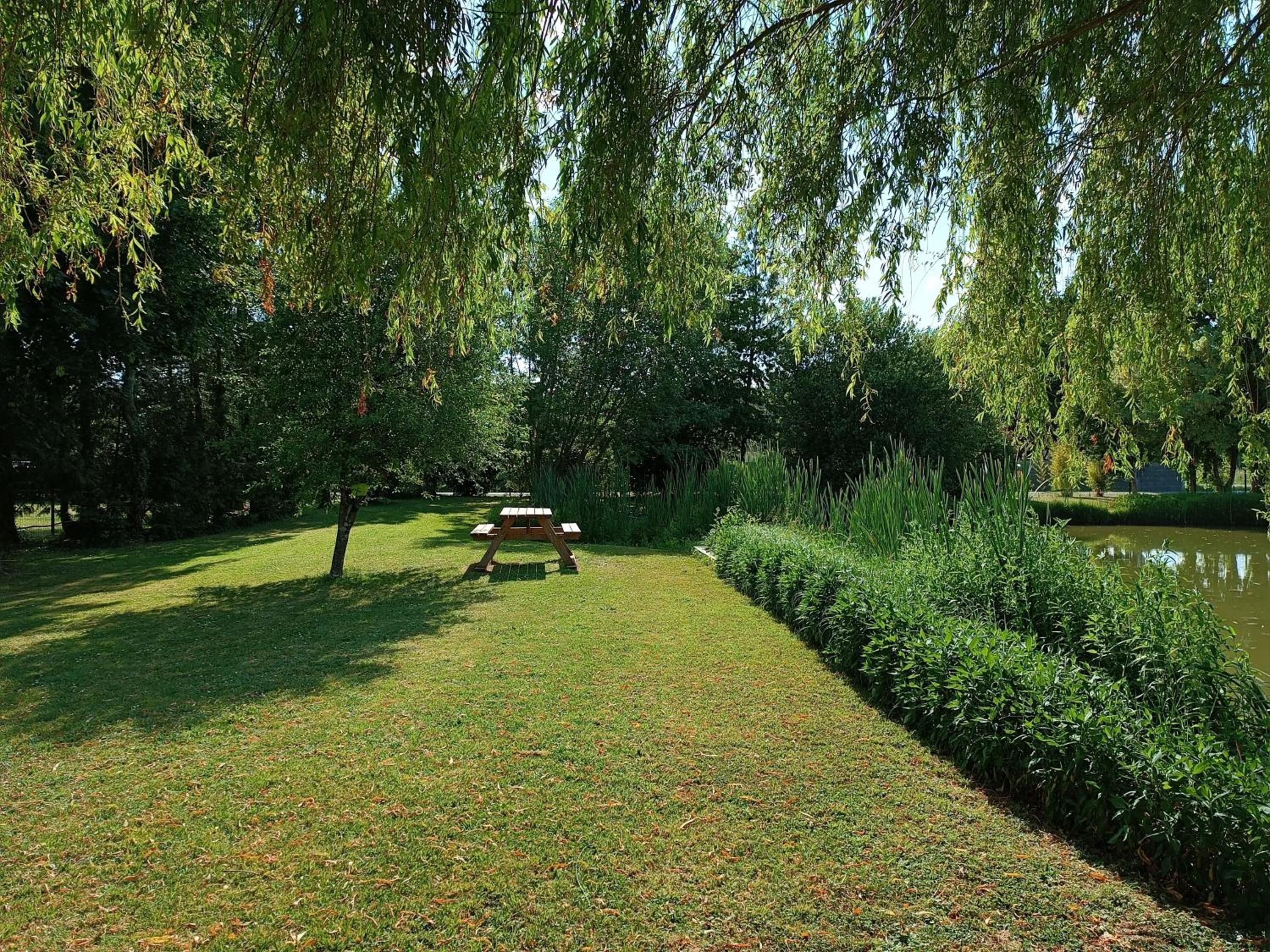 Les ROSEAUX A la Campagne au centre des chateaux de la Loire