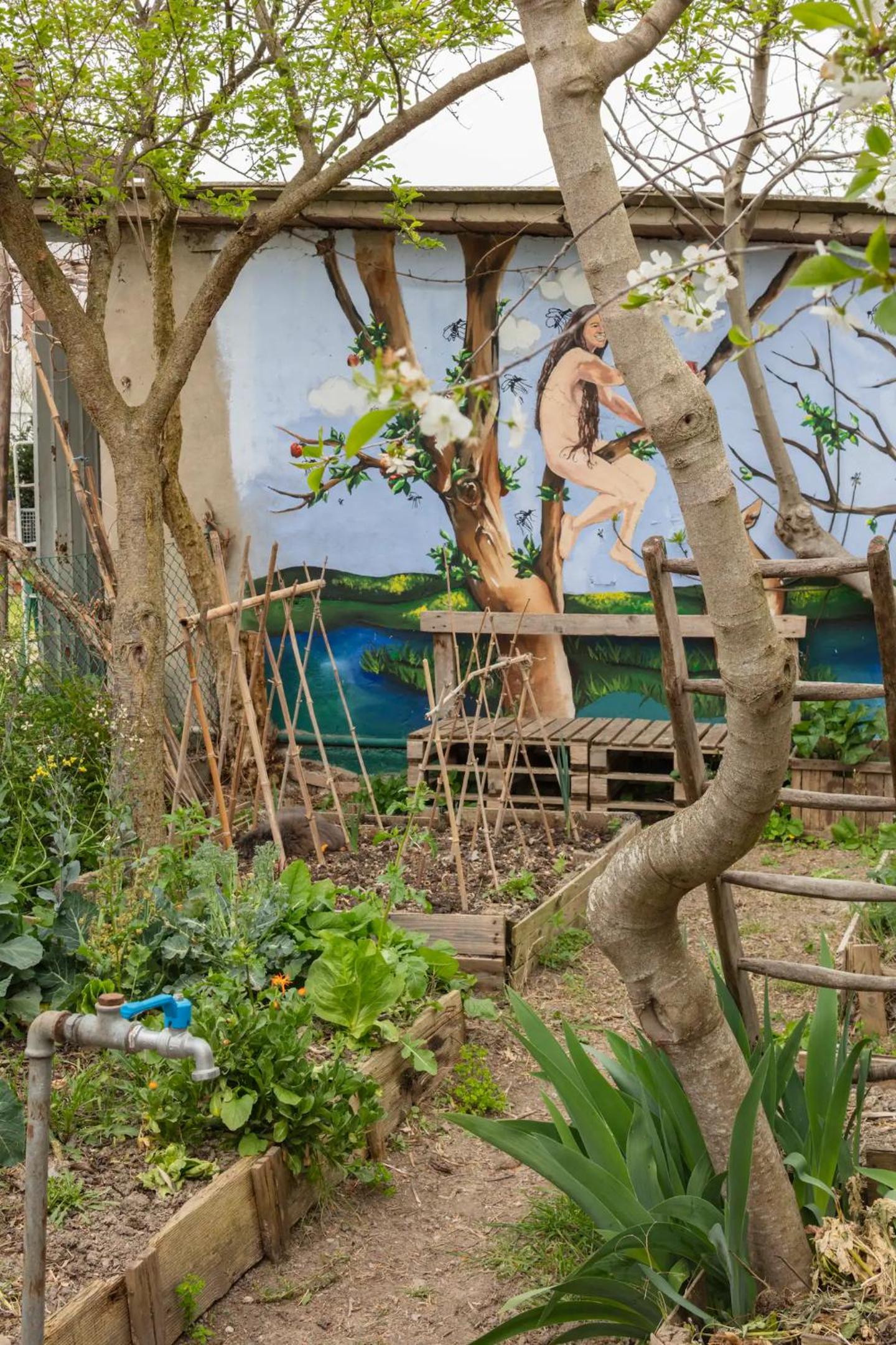 Selvatica50 b&b