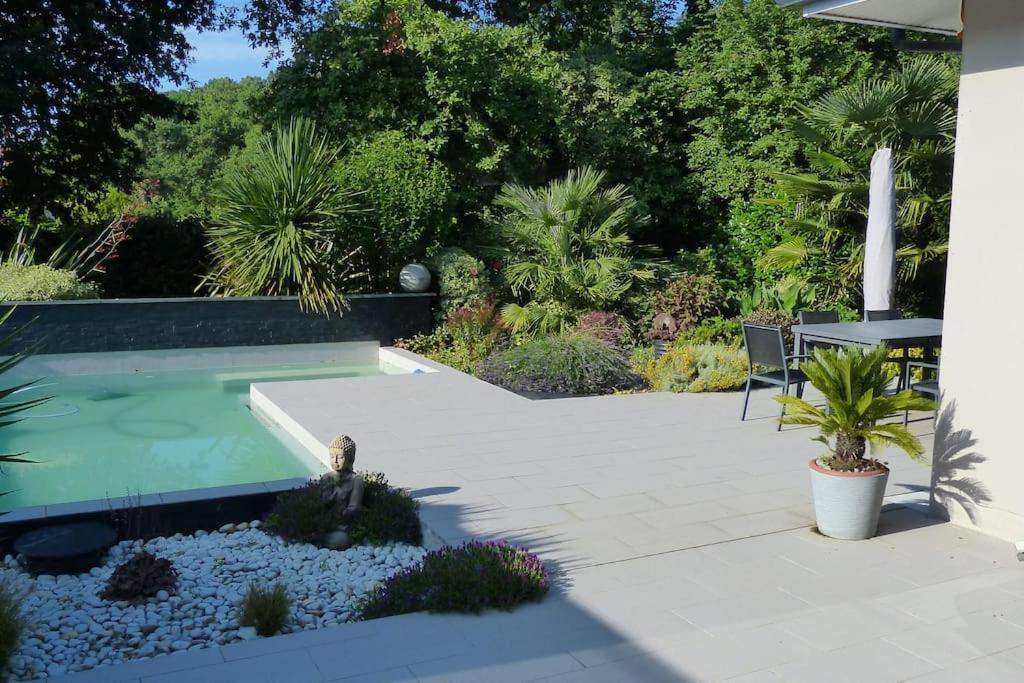 Villa d'archi. Private pool in a green setting — photo 4