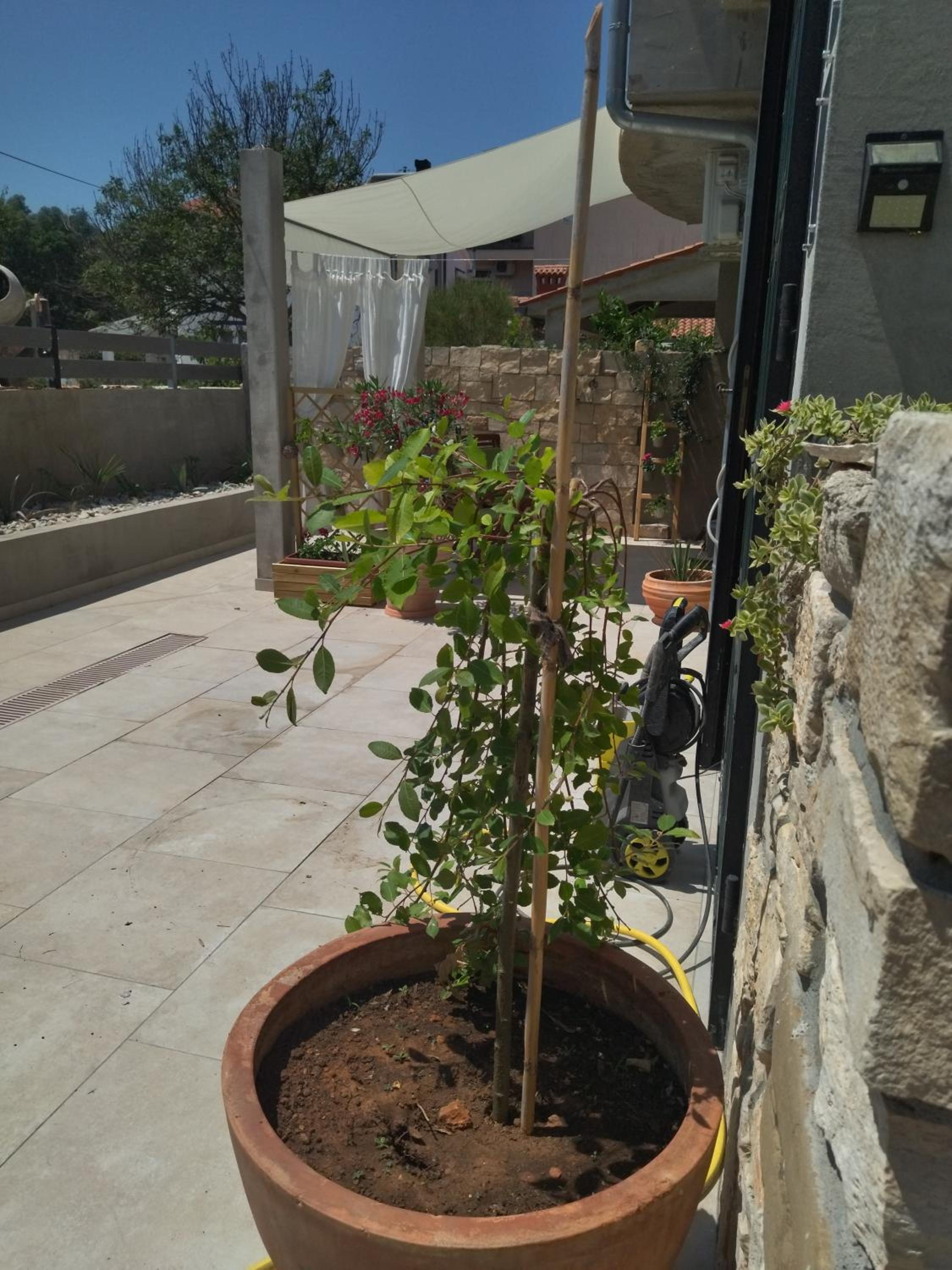 Photo 43
