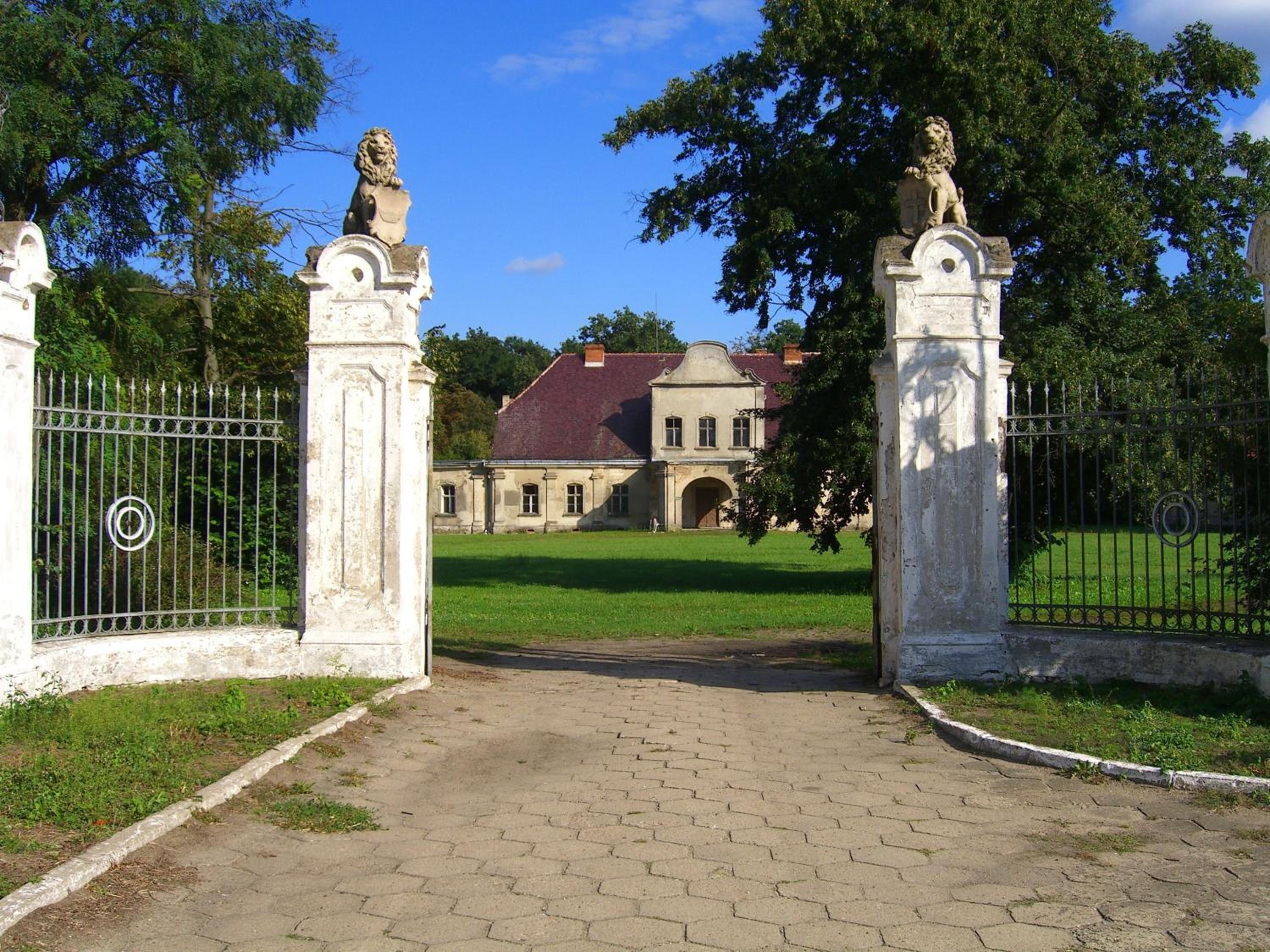 Photo 6