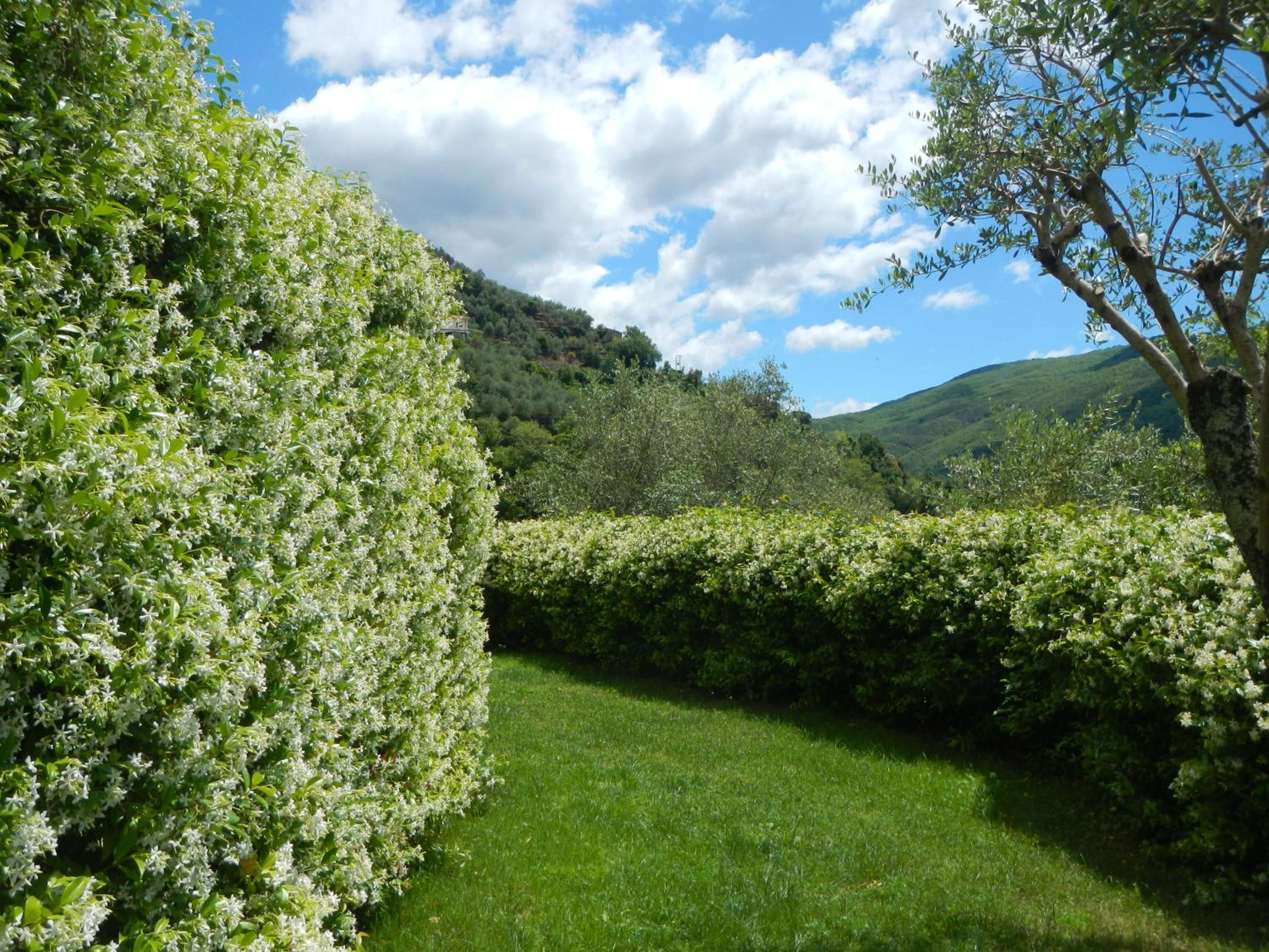 Villa Paggi Country House