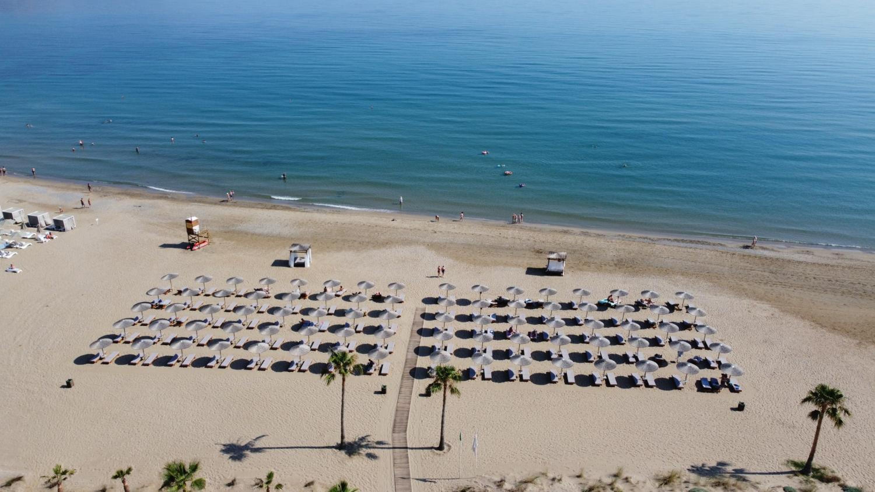 Delfina Tropic Beach
