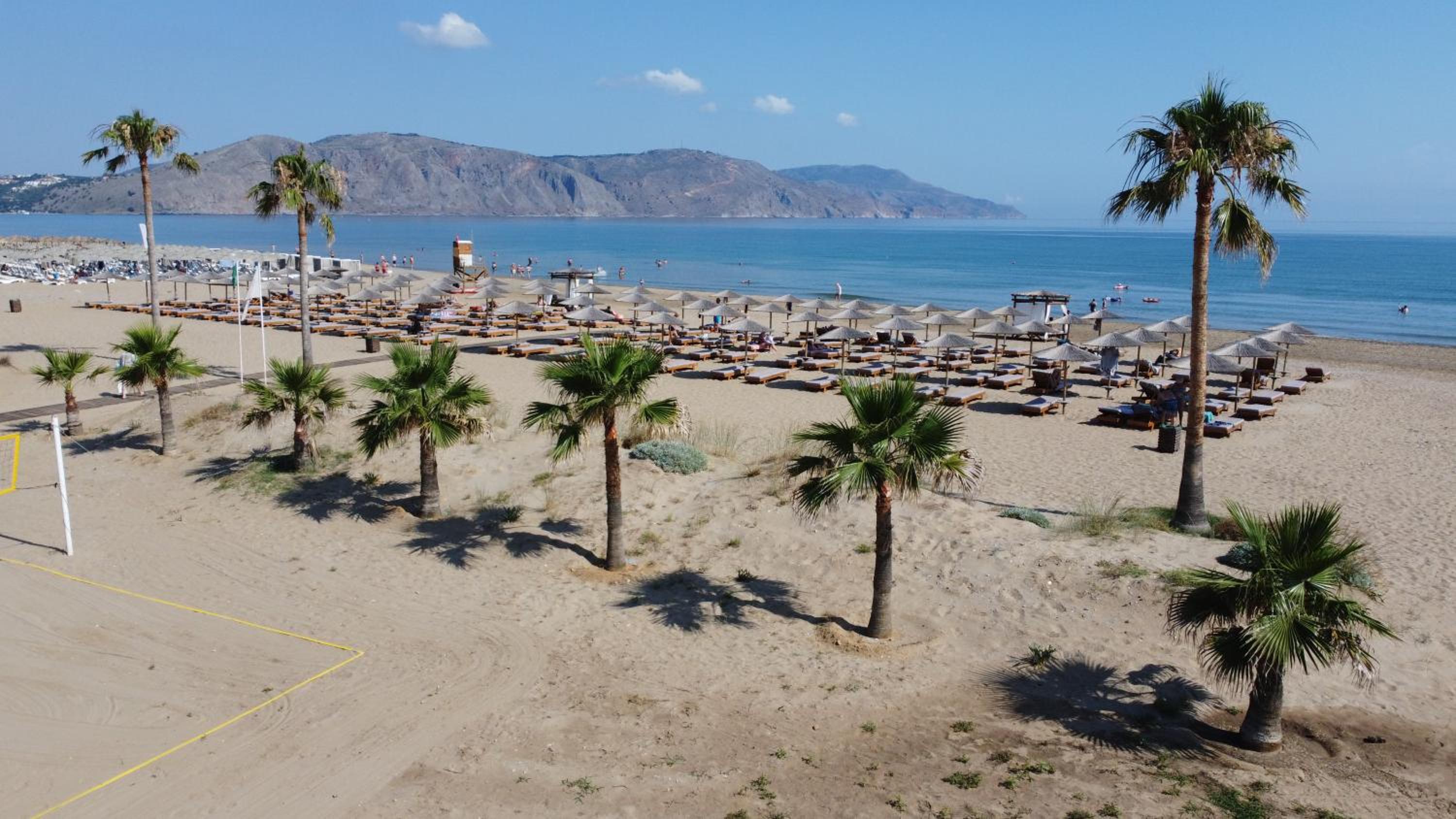 Delfina Tropic Beach