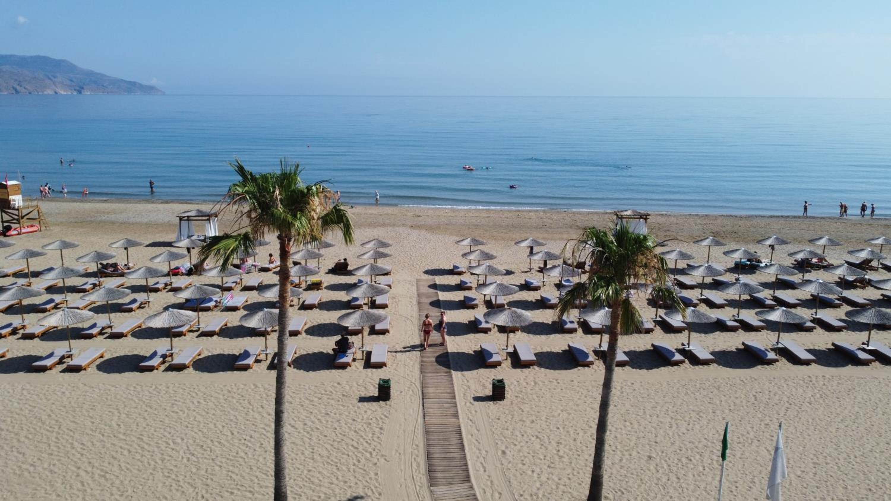 Delfina Tropic Beach