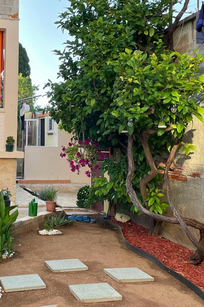 LuMar Holidays and Apartments