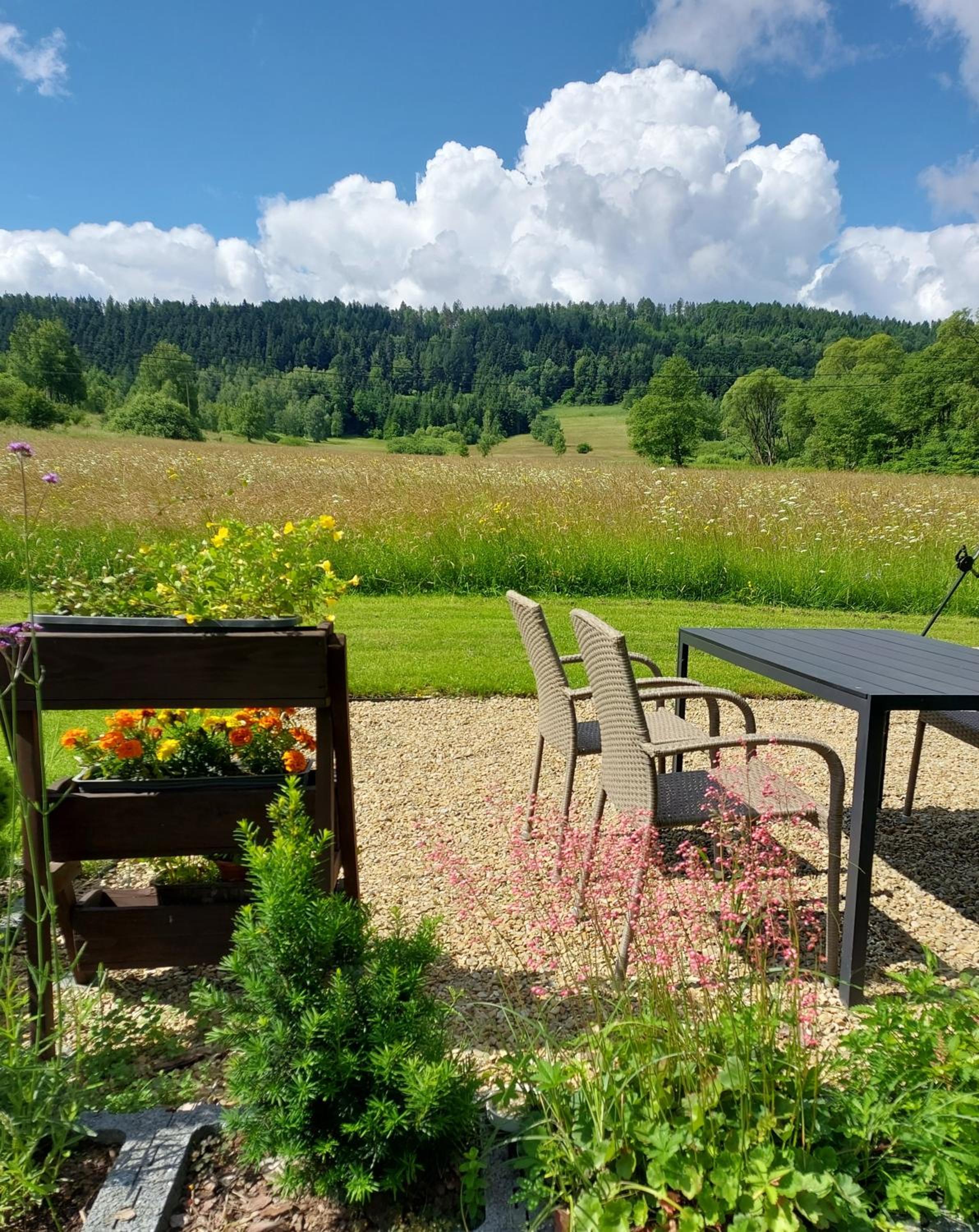 Domek Limba view 5
