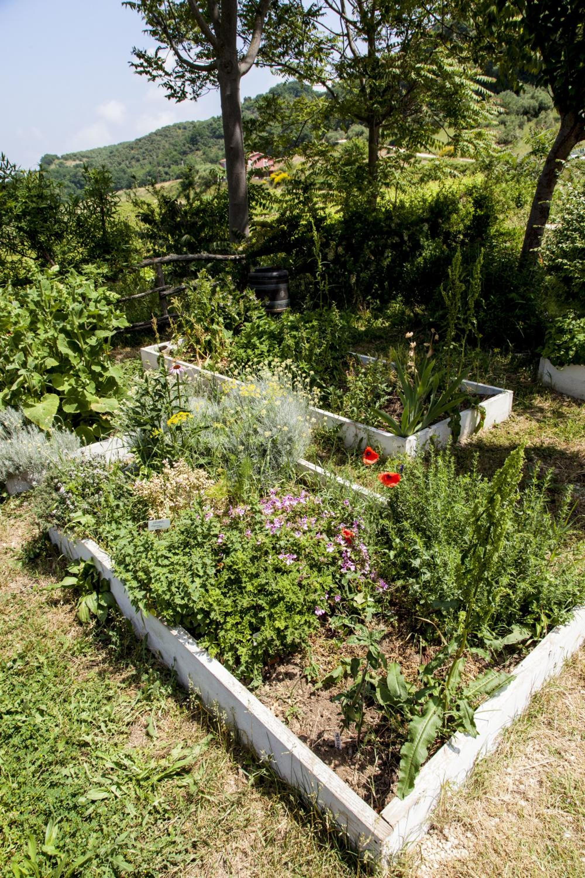 Photo 16